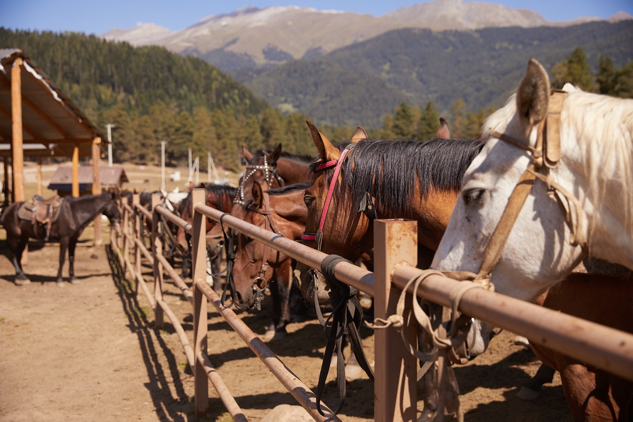 Конный квест-тур Легенды гор (8/19)