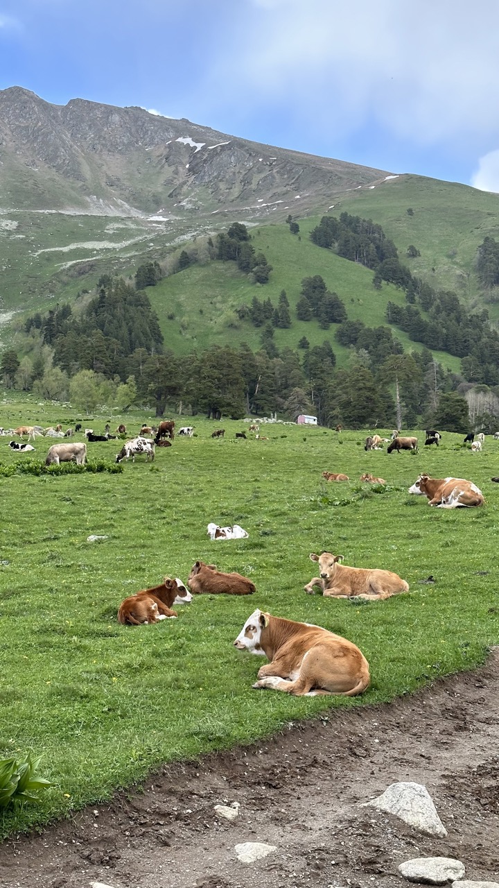 Конный квест-тур Легенды гор (6/19)