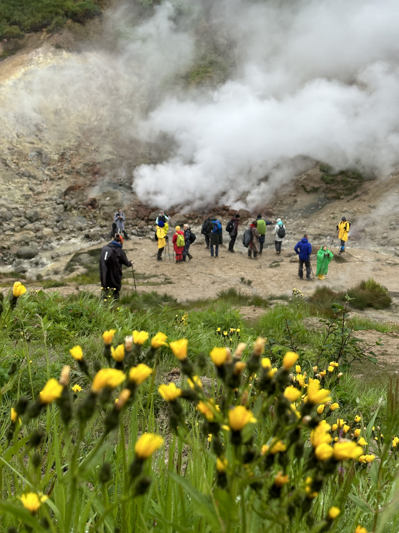 Камчатка: медведи, океан, серфинг, вулканы и термы (7 дней) (7/22)