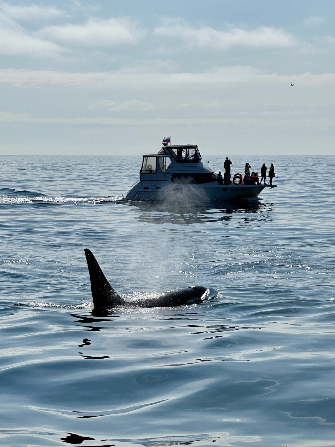 Камчатка: медведи, океан, серфинг, вулканы и термы (7 дней) (9/22)