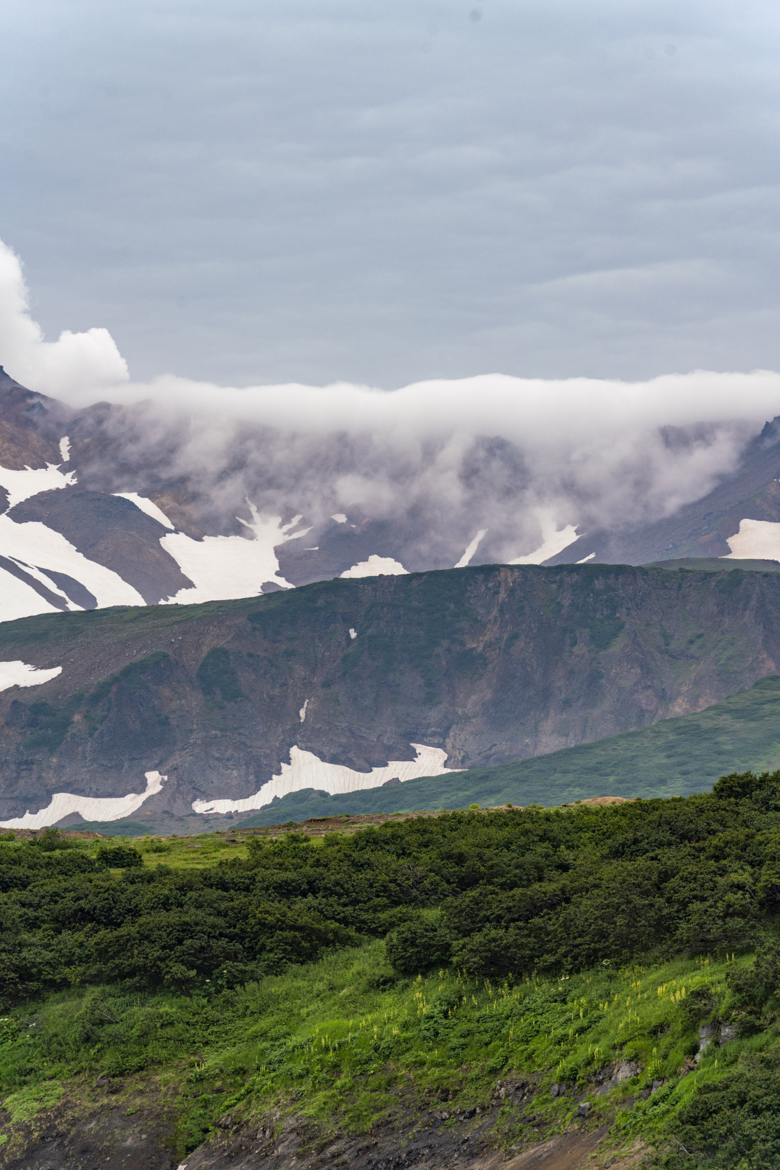 Камчатка: медведи, океан, серфинг, вулканы и термы (7 дней) (5/22)