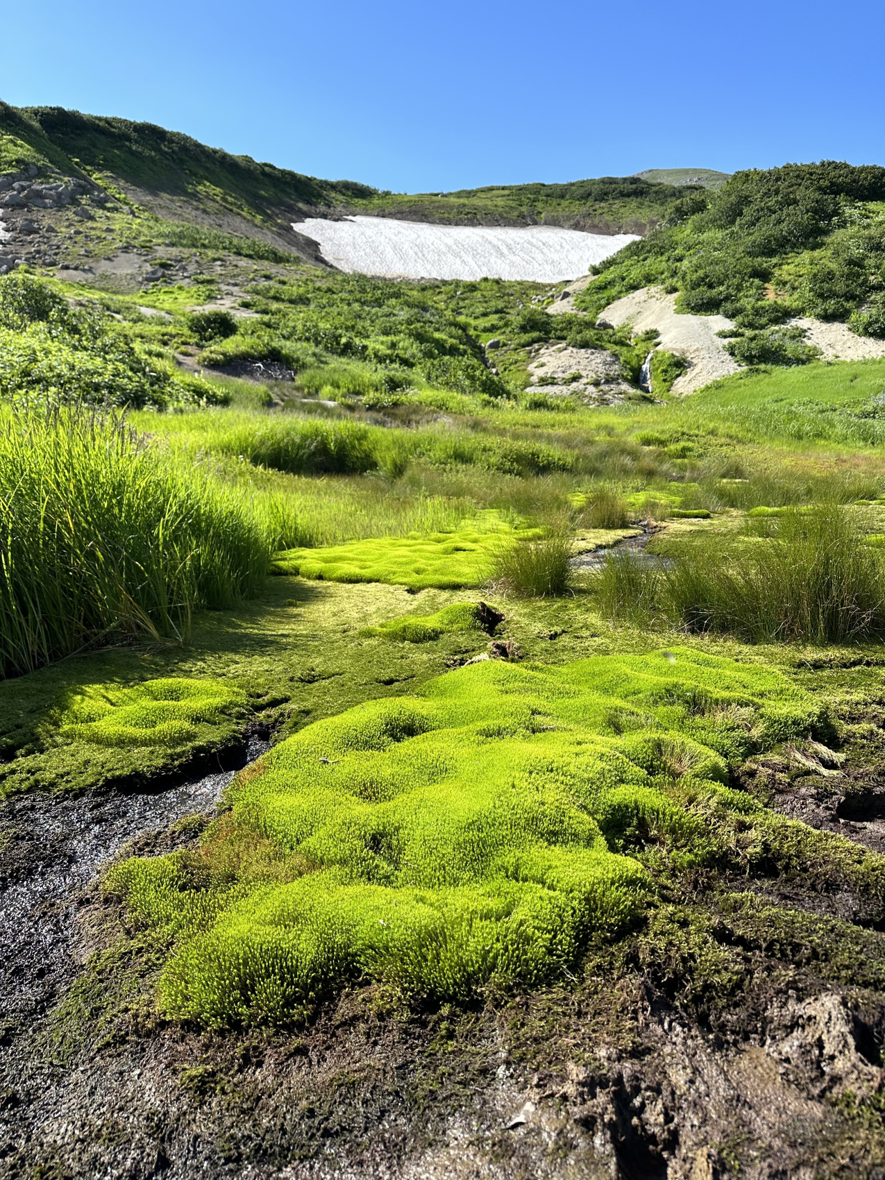 Камчатка: медведи, океан, серфинг, вулканы и термы (7 дней) (8/22)