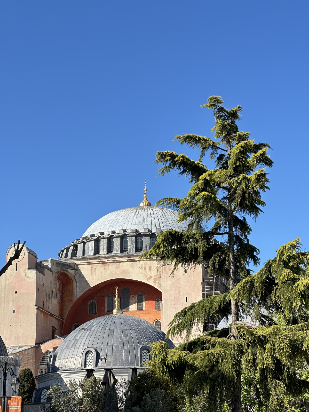 Стамбул с местной жительницей! (19/67)