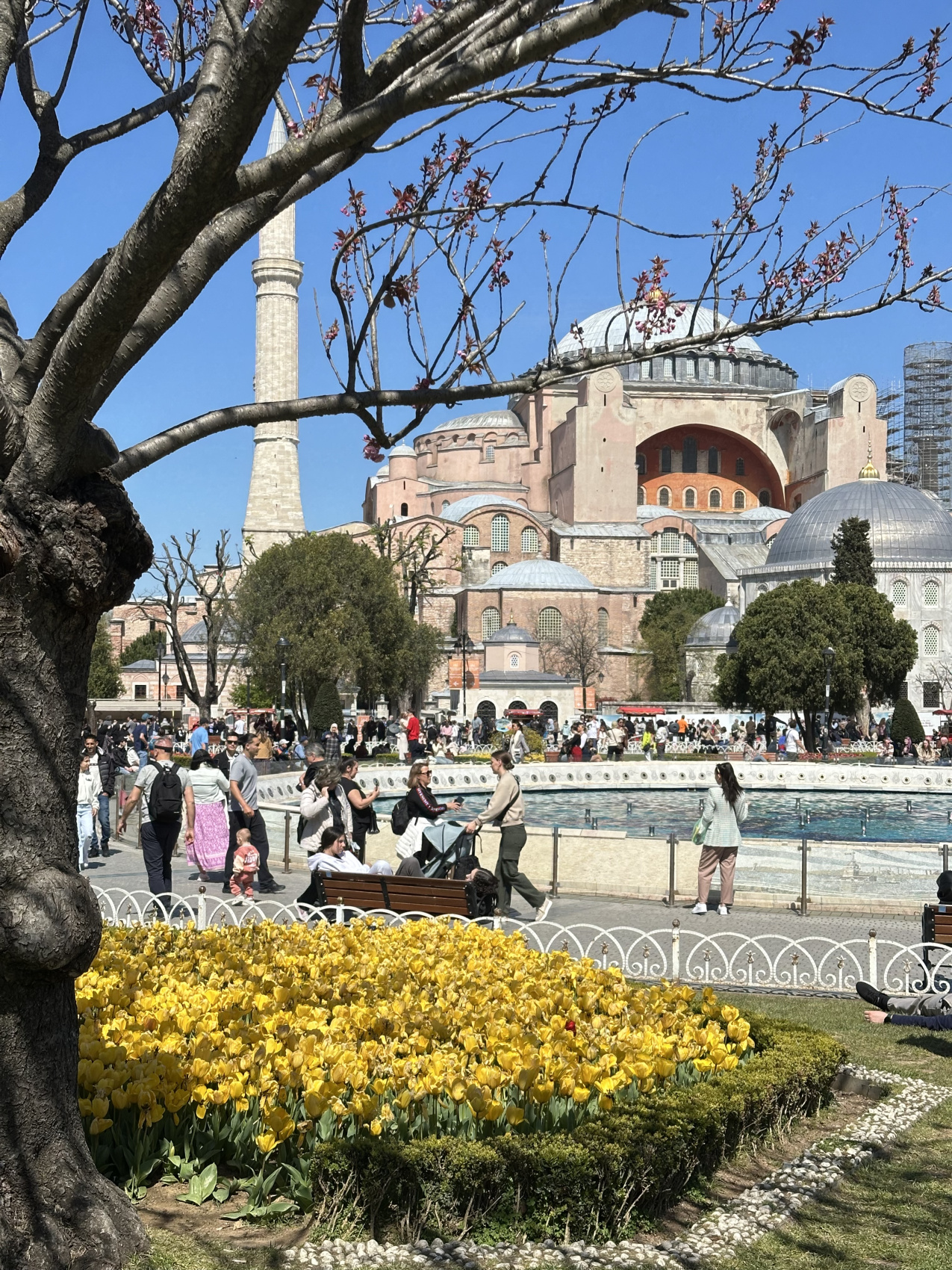 Стамбул с местной жительницей! (53/67)