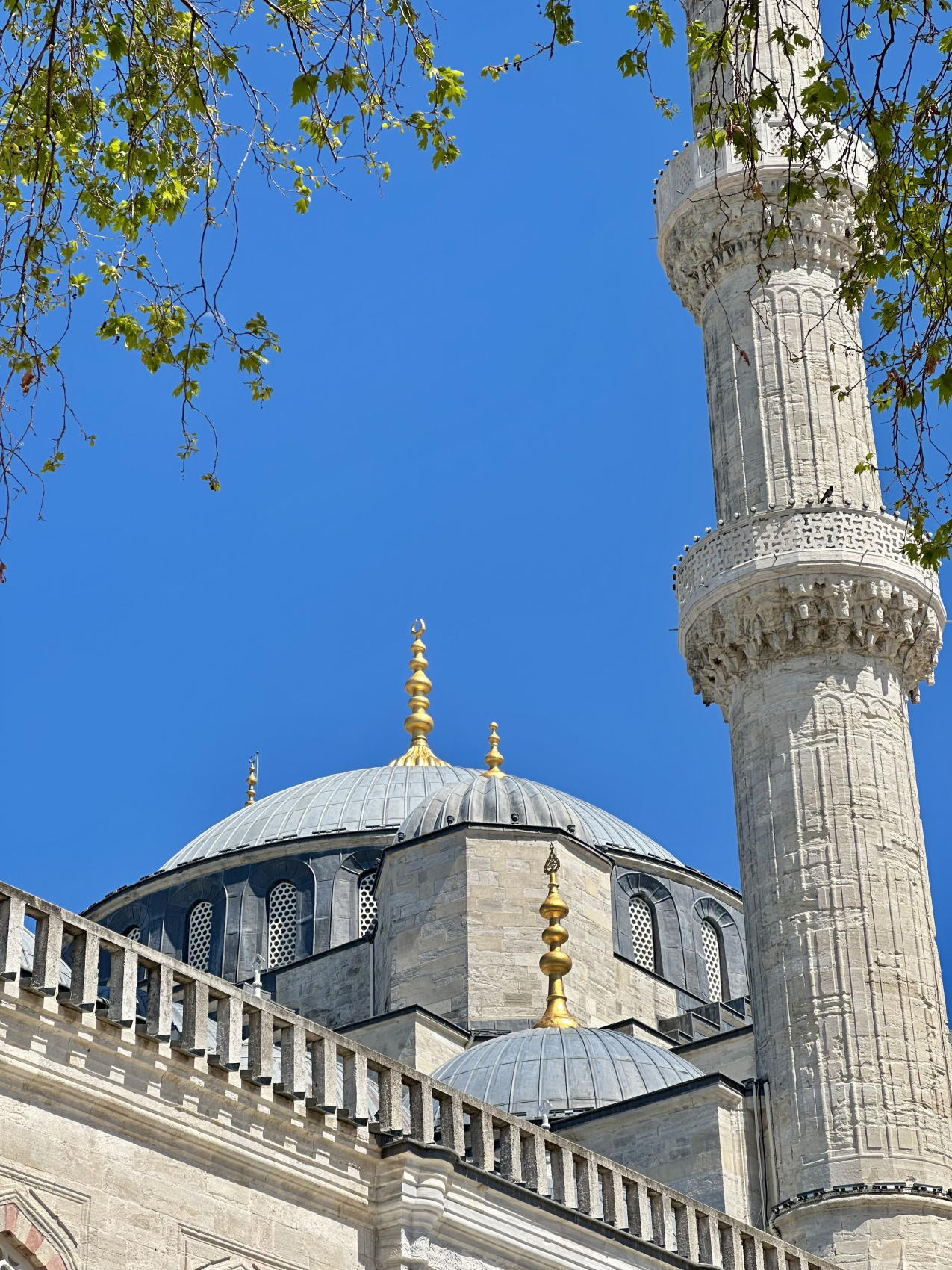 Стамбул с местной жительницей! (21/67)