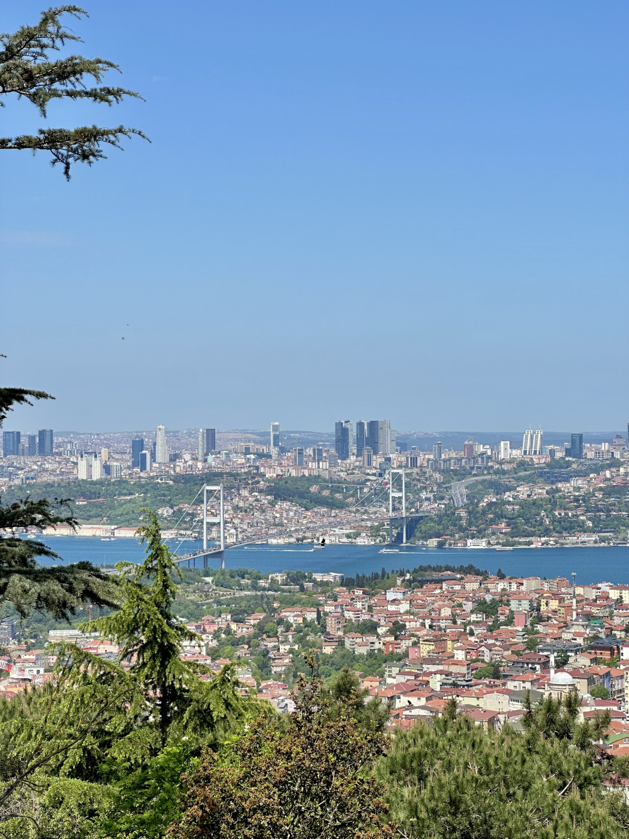 Стамбул с местной жительницей! (15/67)