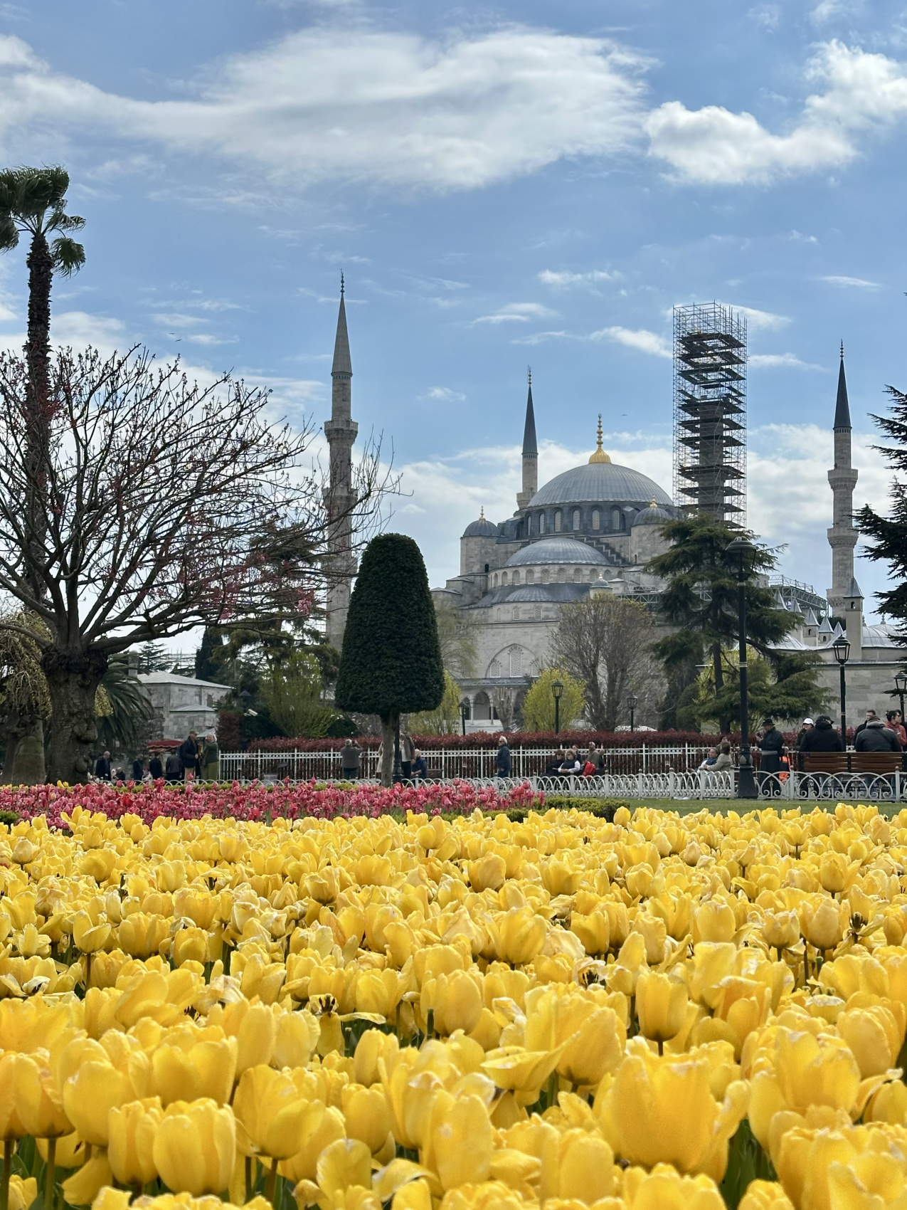 Стамбул с местной жительницей! (54/67)