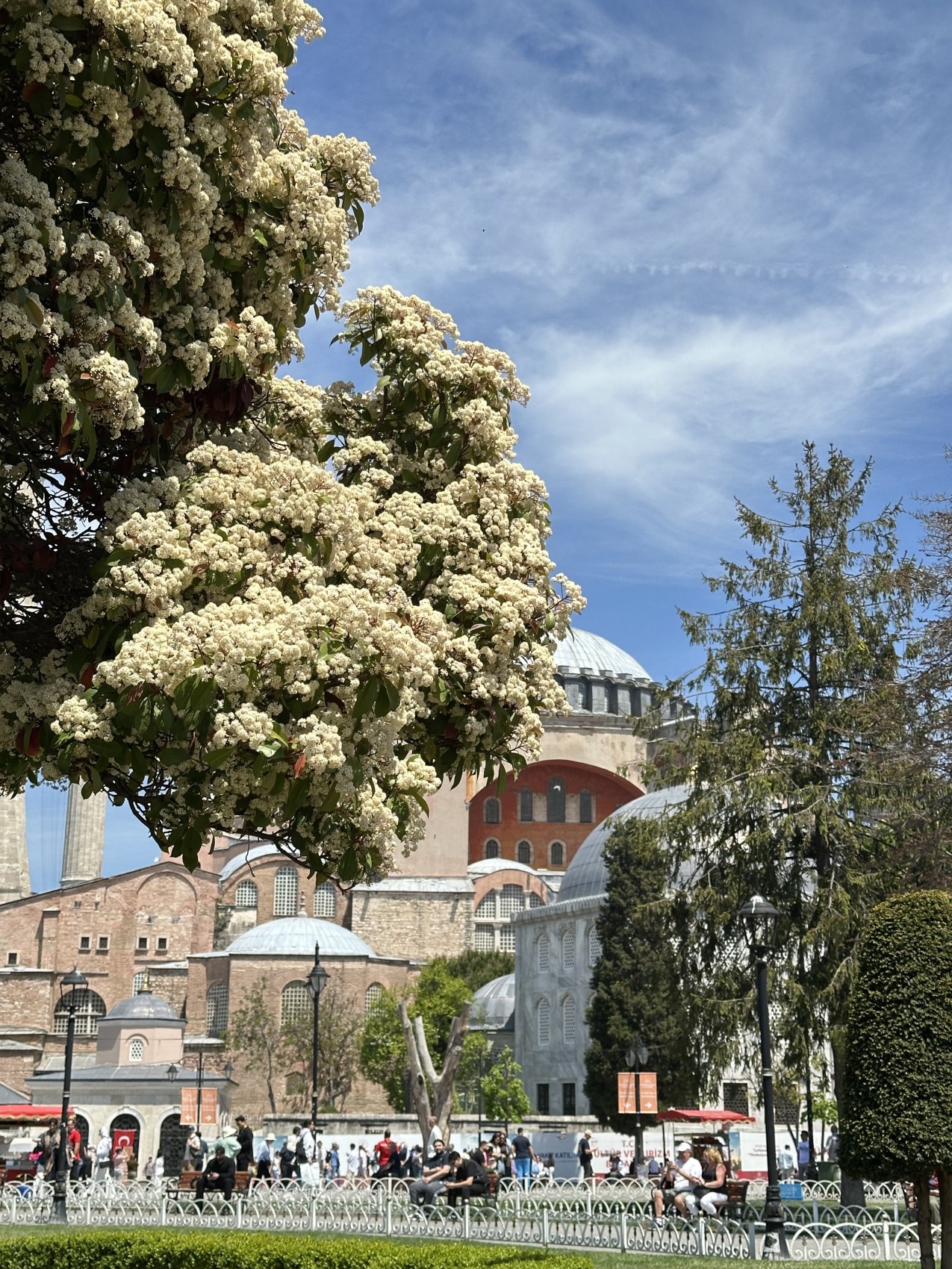 Стамбул с местной жительницей! (40/67)