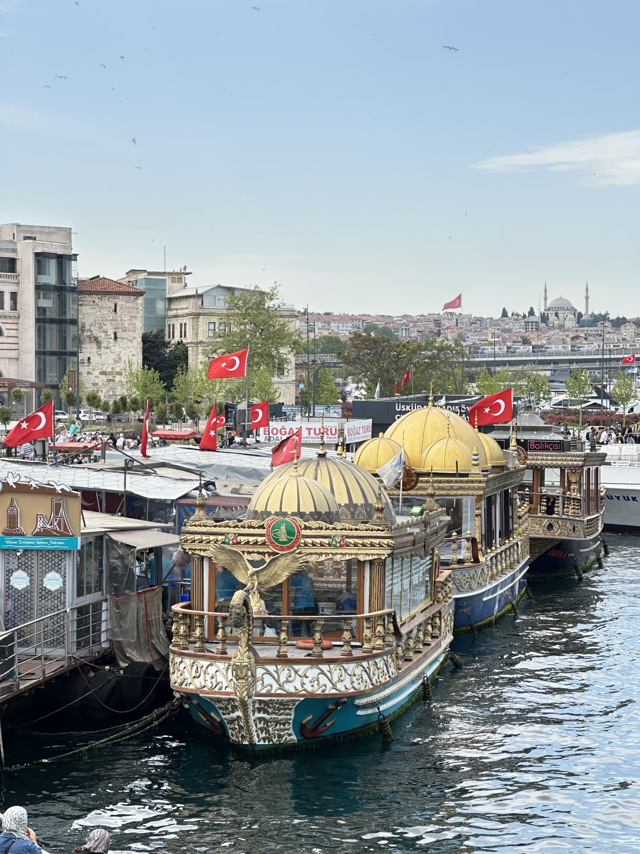 Стамбул с местной жительницей! (34/67)