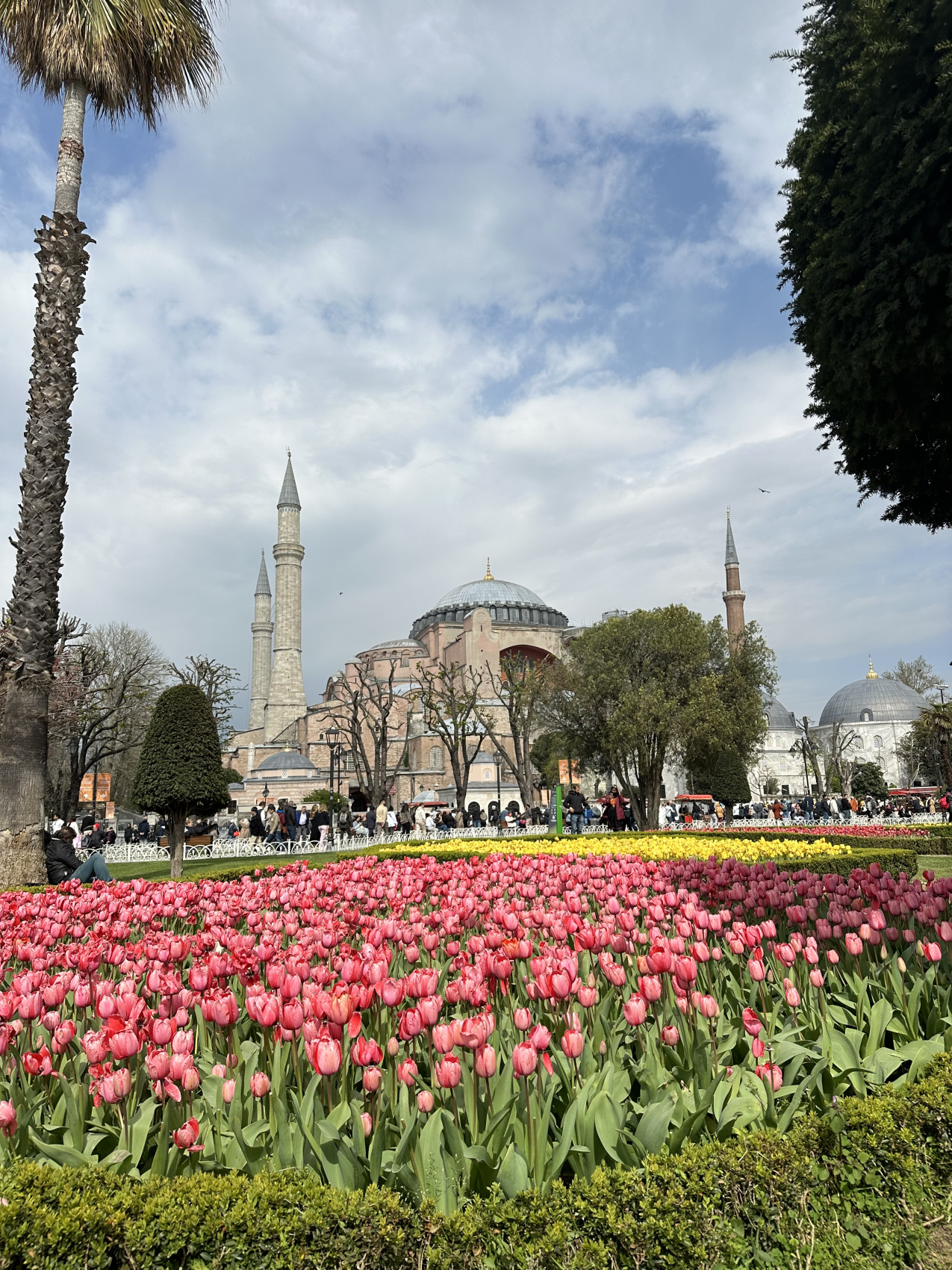 Стамбул с местной жительницей! (55/67)