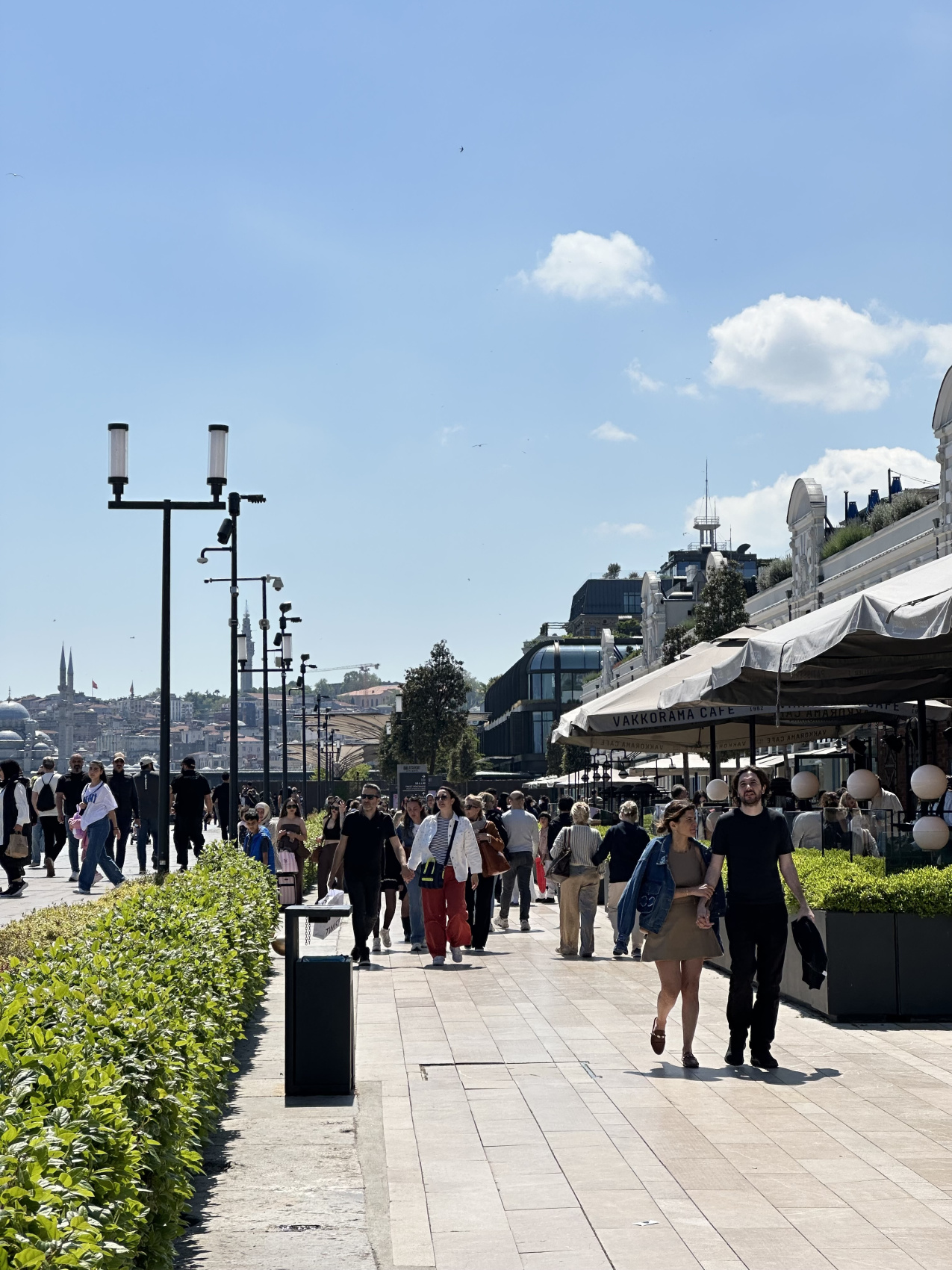 Стамбул с местной жительницей! (10/67)