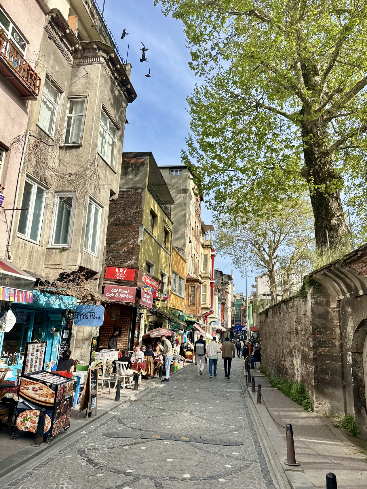 Стамбул с местной жительницей! (50/67)