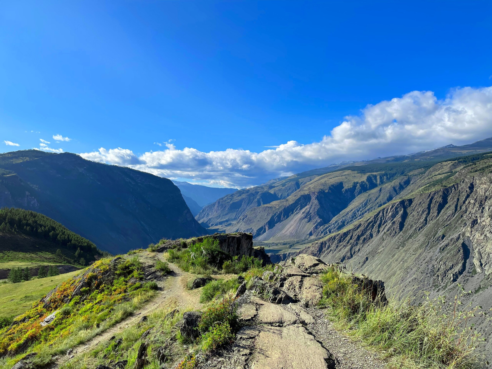 Лучшее на Алтае, 7 дней