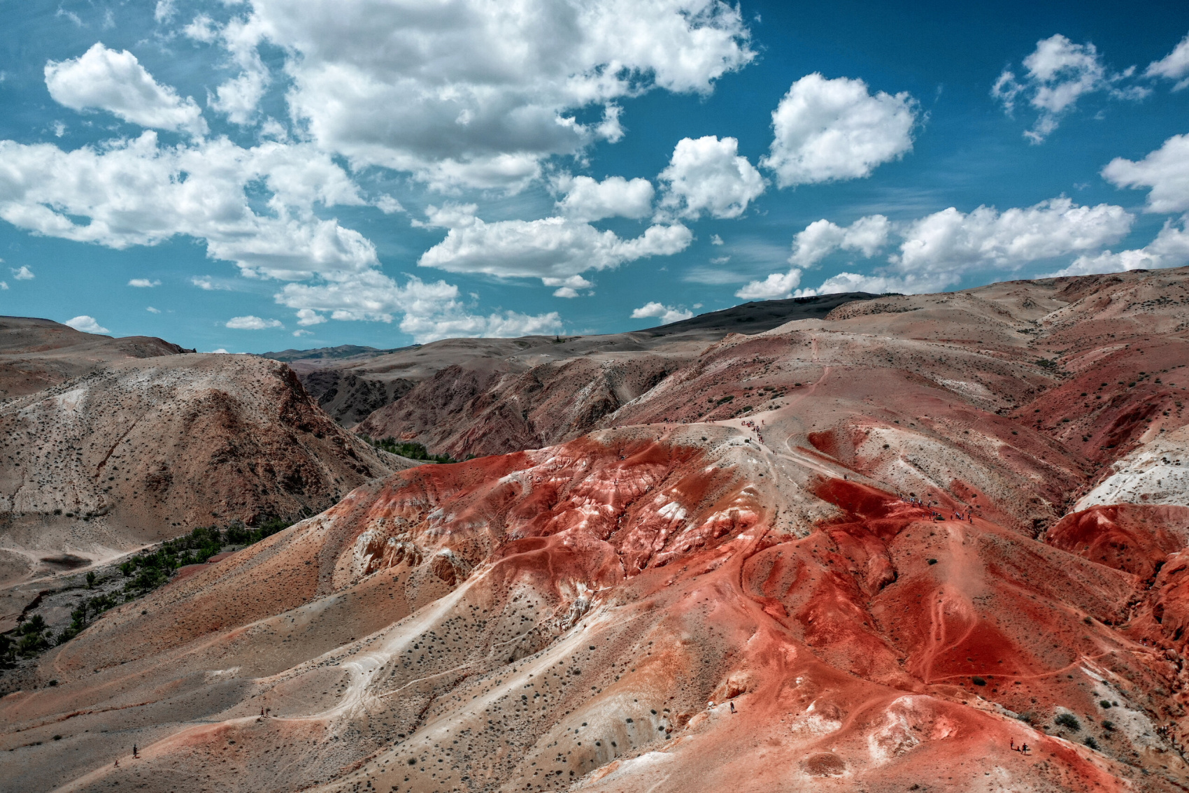 Лучшее на Алтае, 7 дней (9/14)