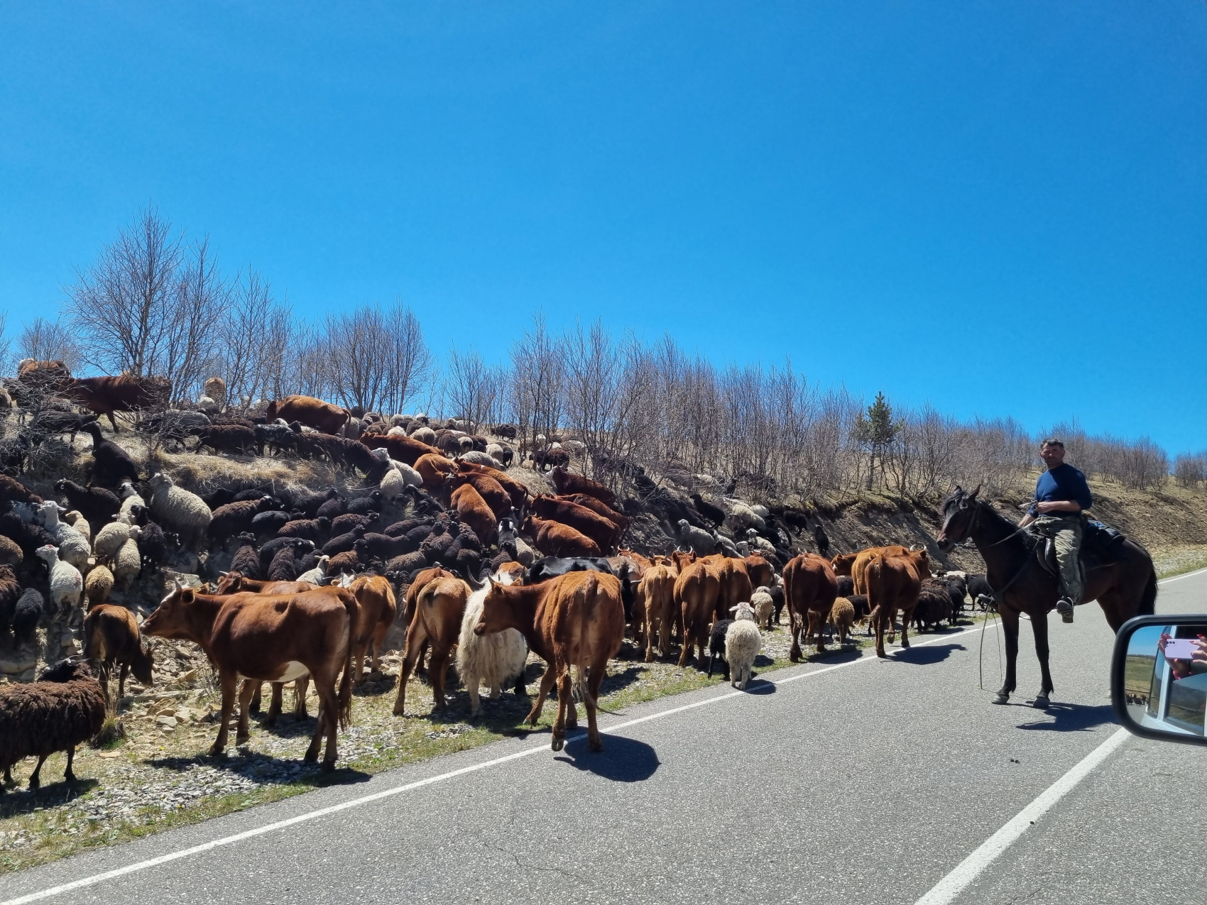 Трип по Карачаево-Черкесии! Домбай+Архыз с комфортом в мини-группе! (34/74)