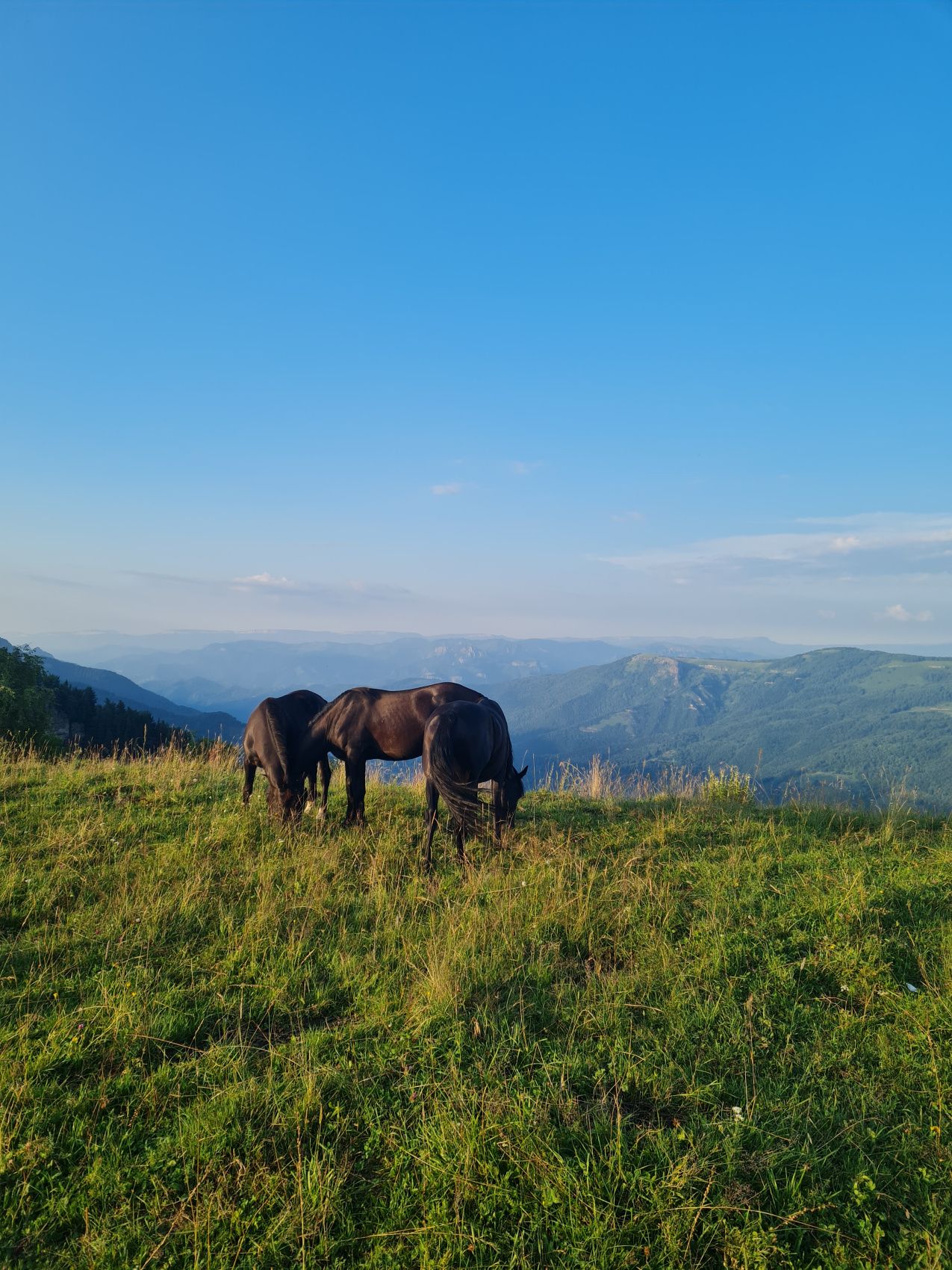 Трип по Карачаево-Черкесии! Домбай+Архыз с комфортом в мини-группе! (7/74)