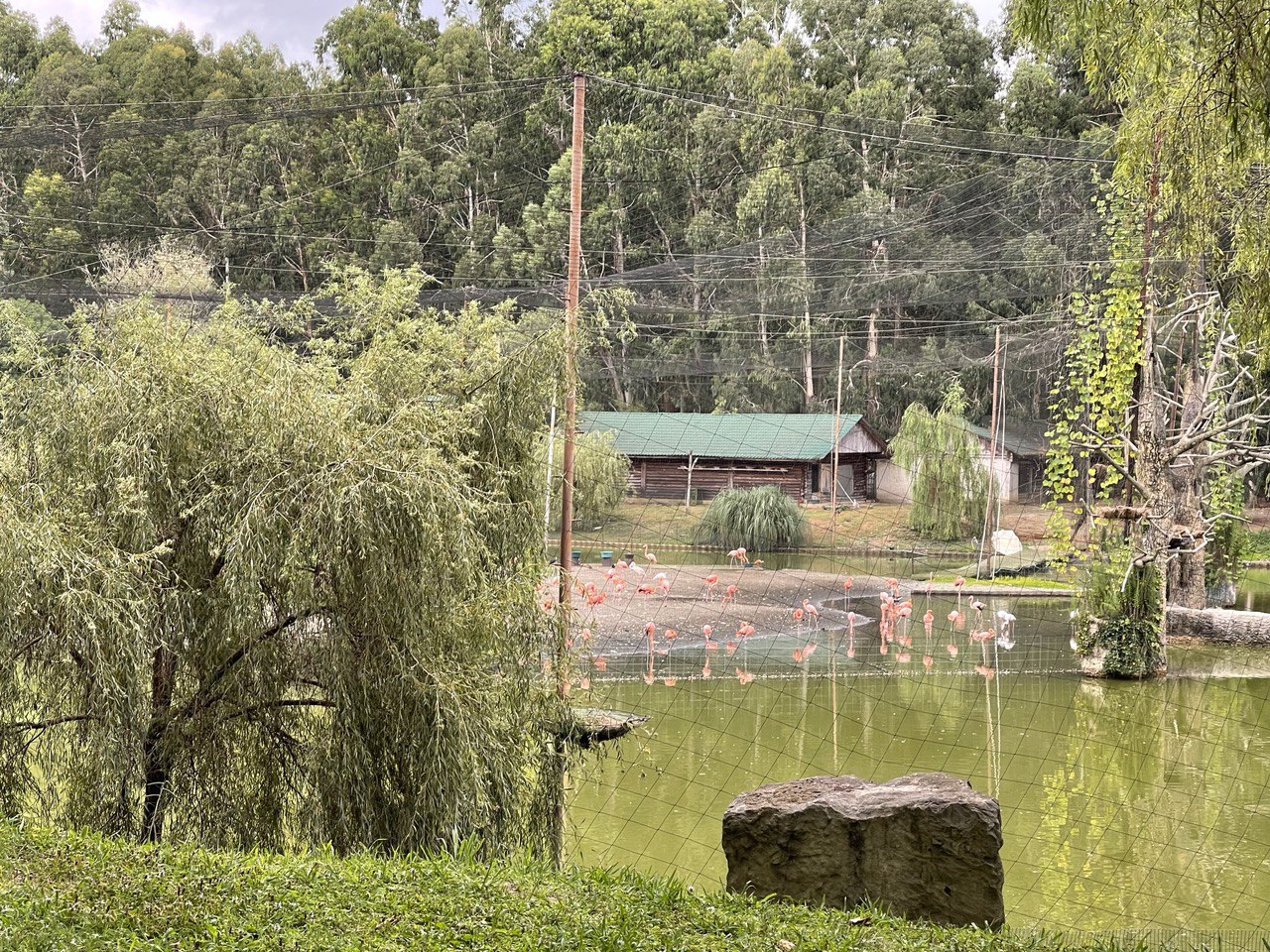 Wow! Море + горы! Батуми+ Сванетия: 8 дней и 7 экскурсий! (9/46)