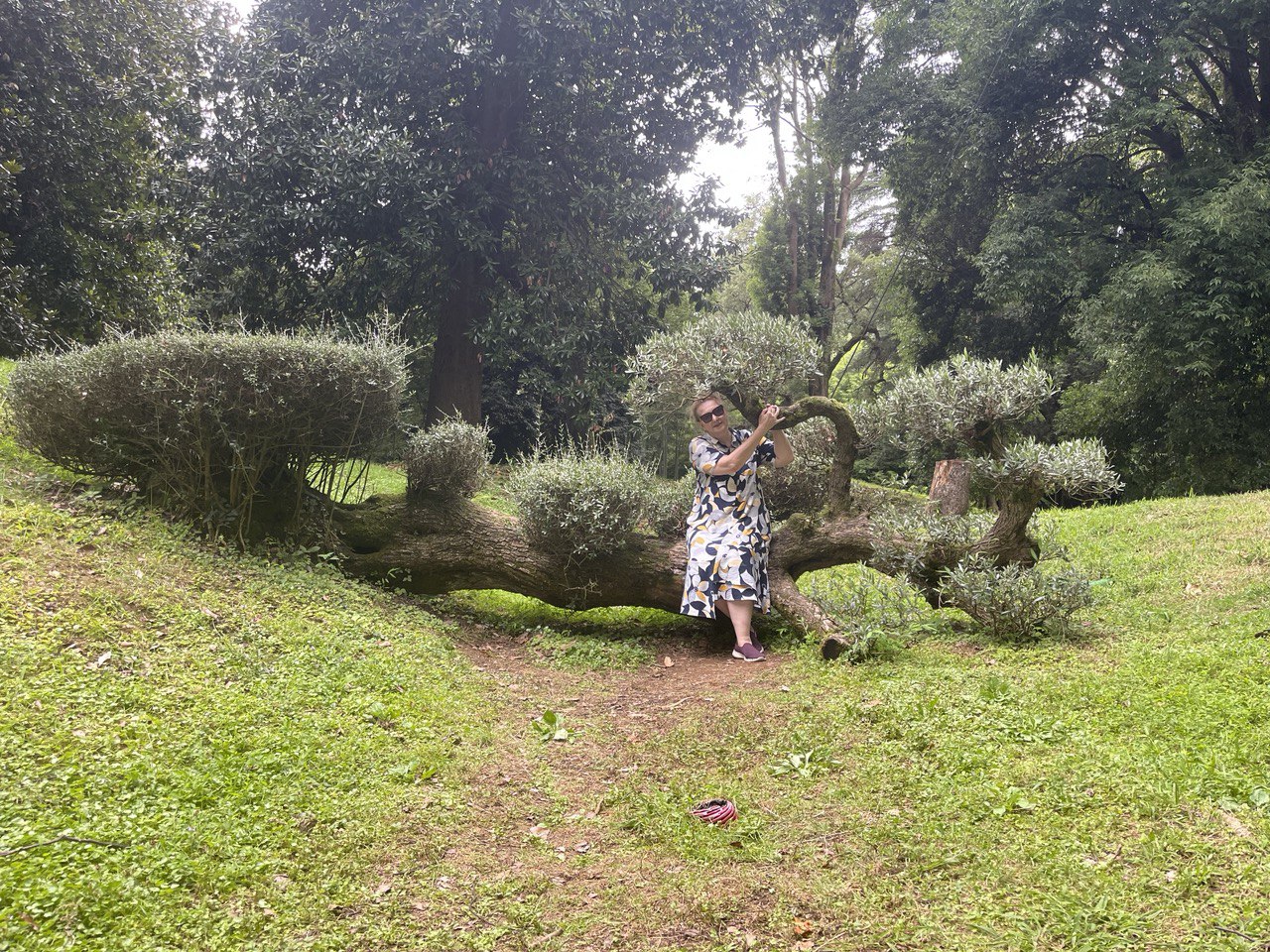 Wow! Море + горы! Батуми+ Сванетия: 8 дней и 7 экскурсий! (13/46)