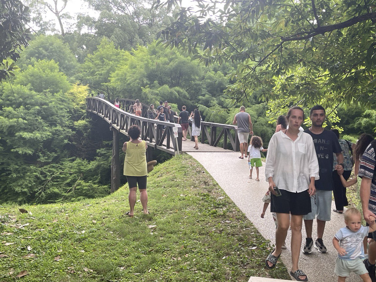 Wow! Море + горы! Батуми+ Сванетия: 8 дней и 7 экскурсий! (11/46)