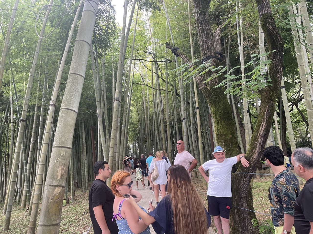 Wow! Море + горы! Батуми+ Сванетия: 8 дней и 7 экскурсий! (12/46)