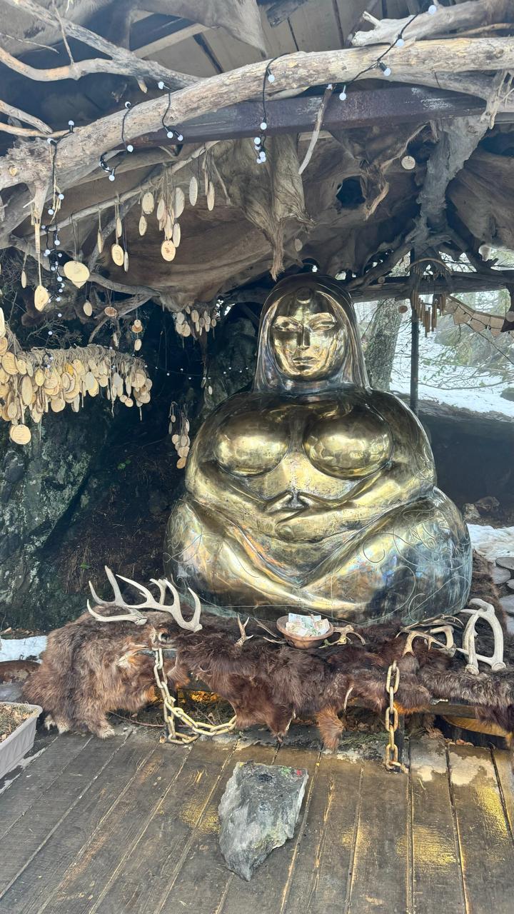 Цветение маральника и Нижняя Катунь (9/16)