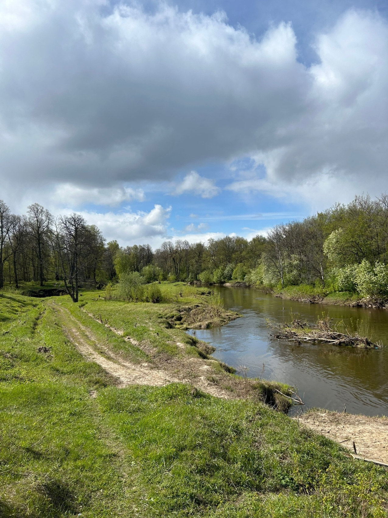 Сплав по реке Малая Кокшага Заповедные Верховья