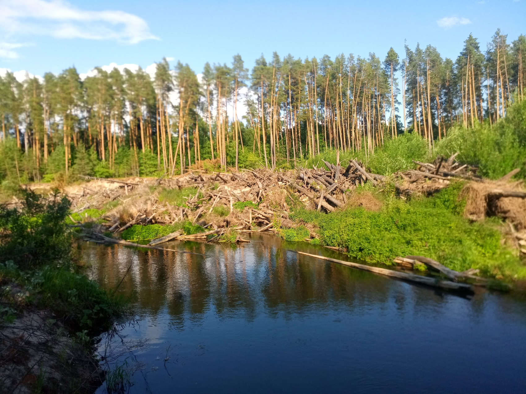 Сплав по реке Малая Кокшага Завал