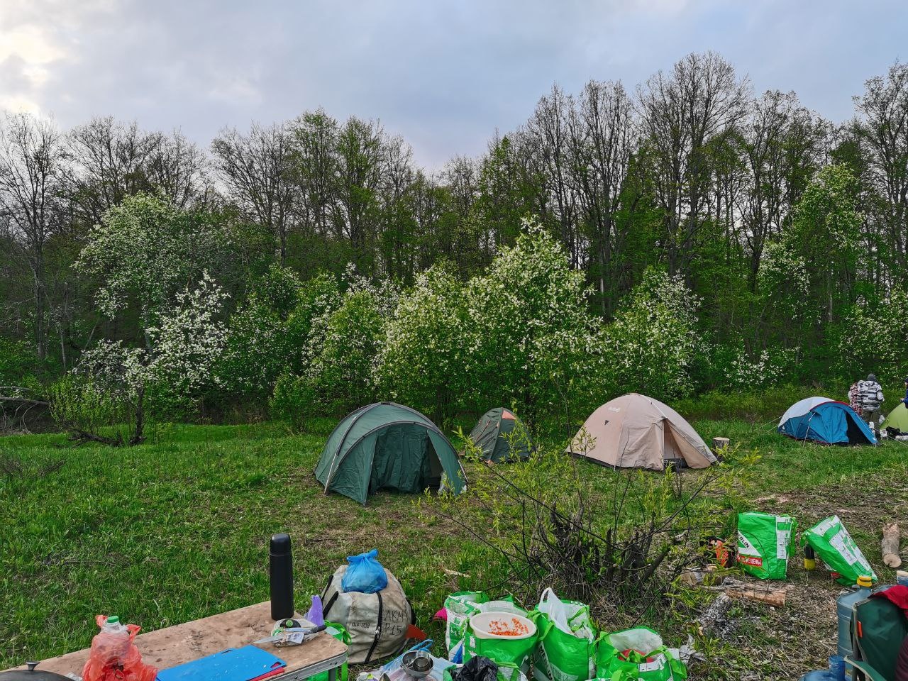 Сплав по реке Малая Кокшага Завал (7/8)