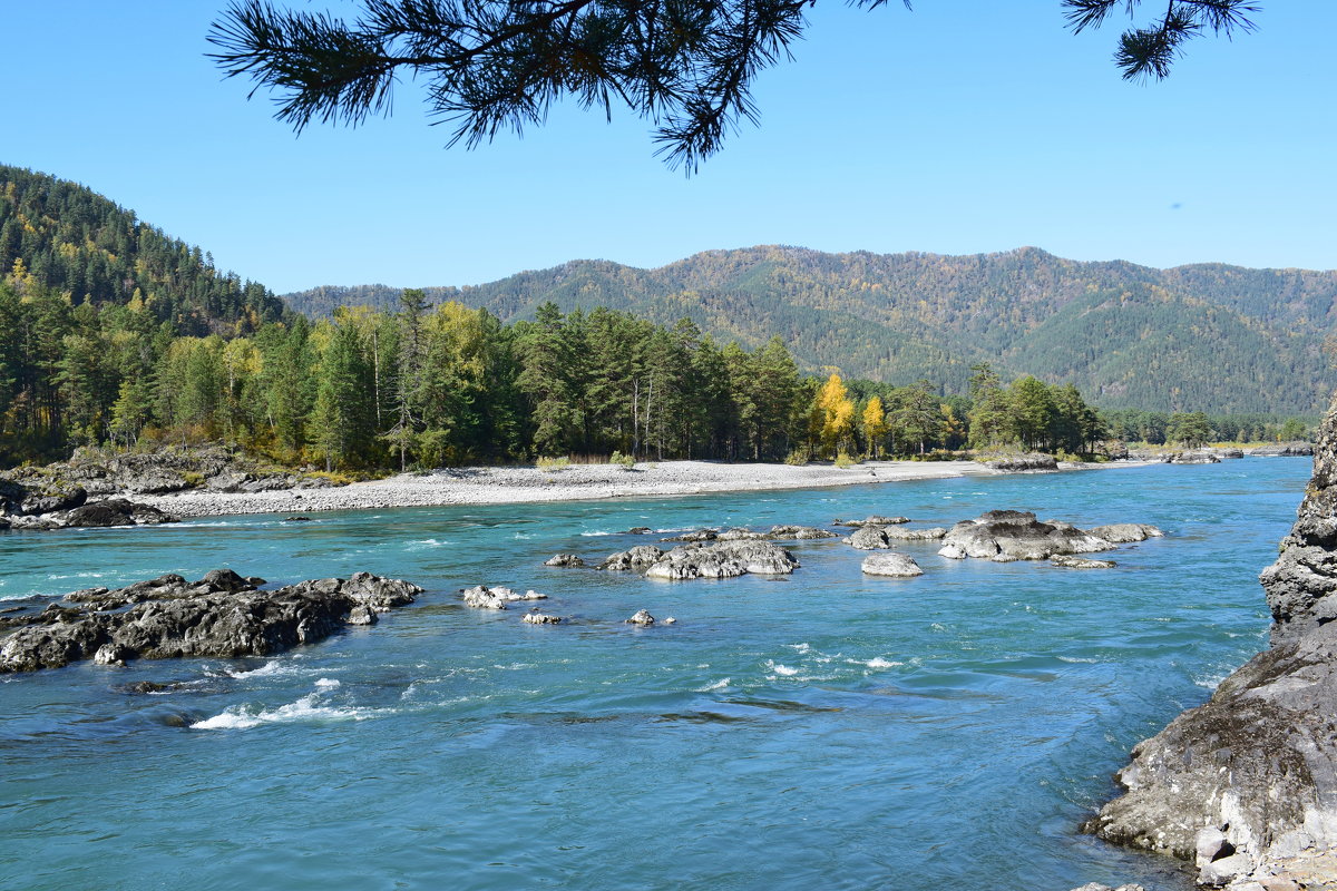Алтайские Приключения 2026. Катунь, висячий камень, кони, сплав. (21/30)