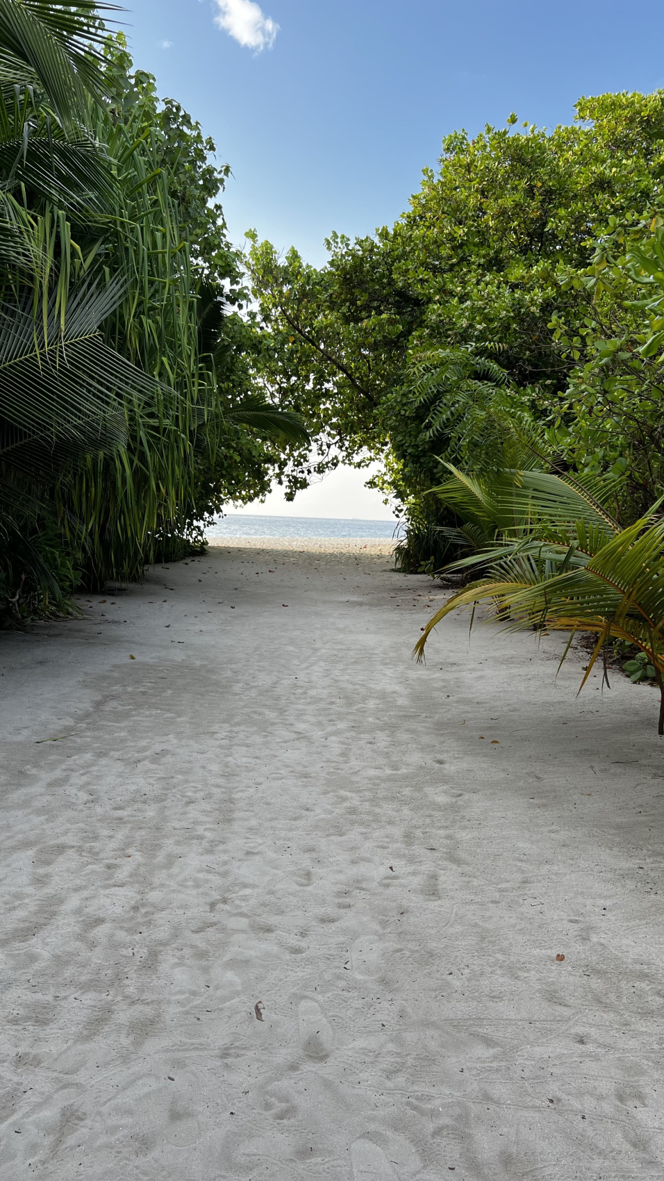 Йога-тур на Мальдивах (5/46)