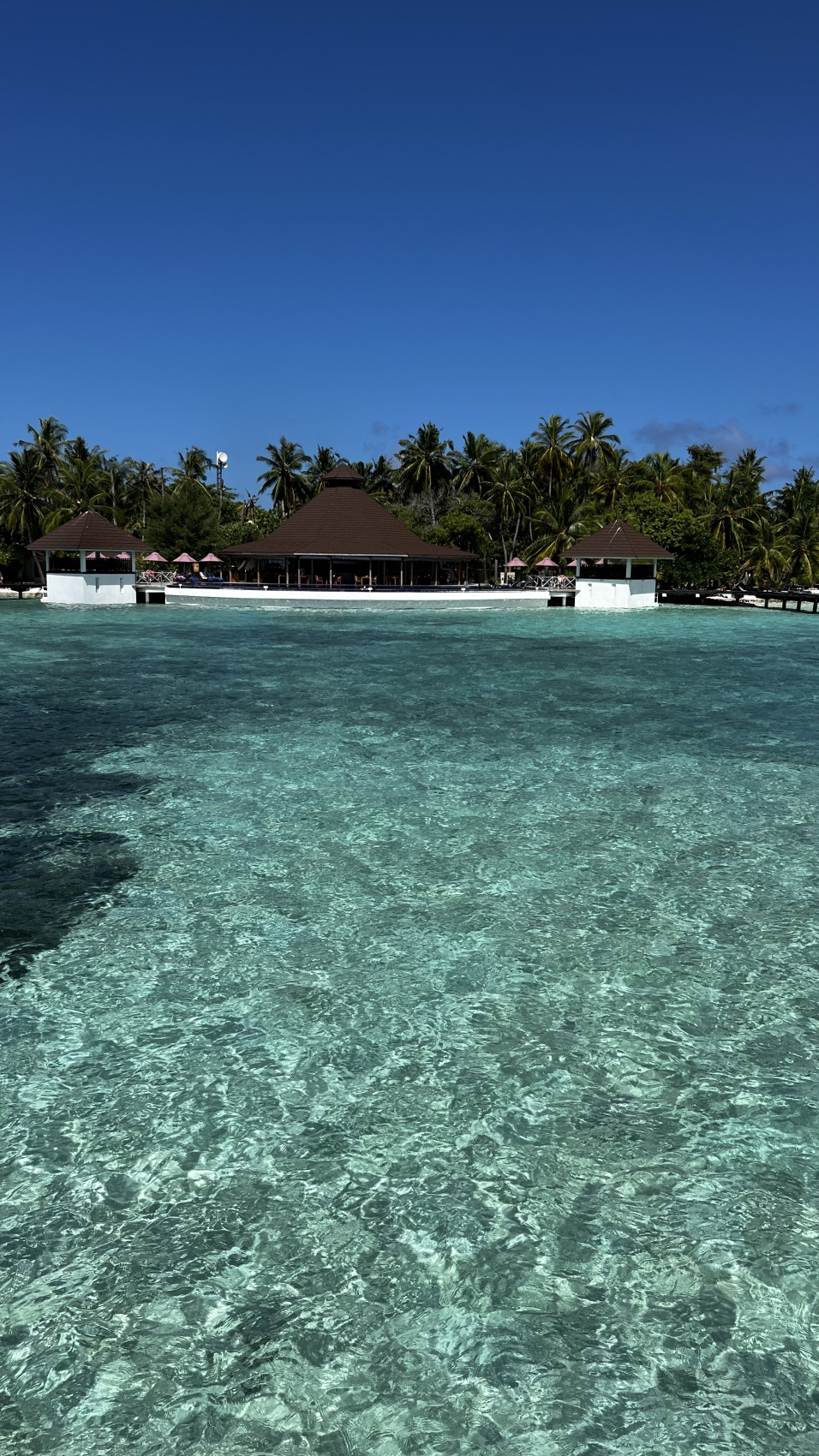 Йога-тур на Мальдивах (7/46)