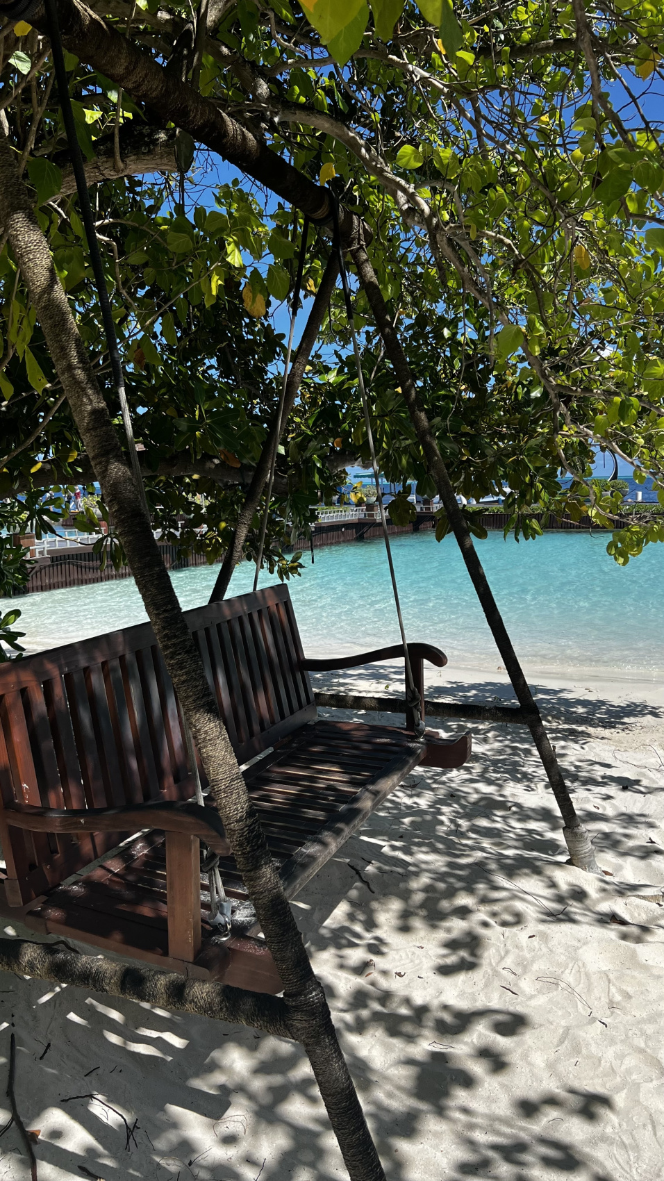 Йога-тур на Мальдивах (2/46)