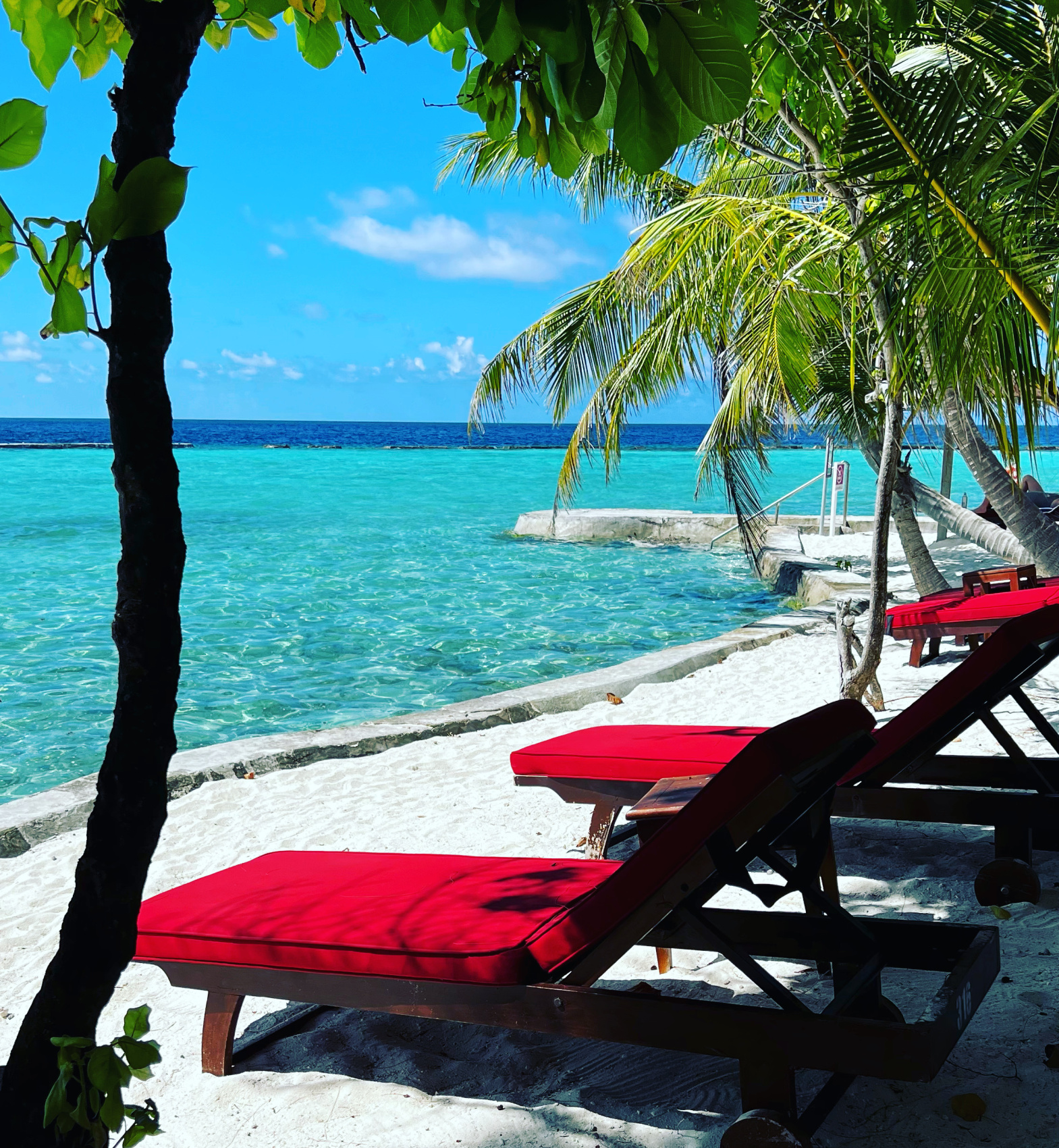 Йога-тур на Мальдивах (10/46)