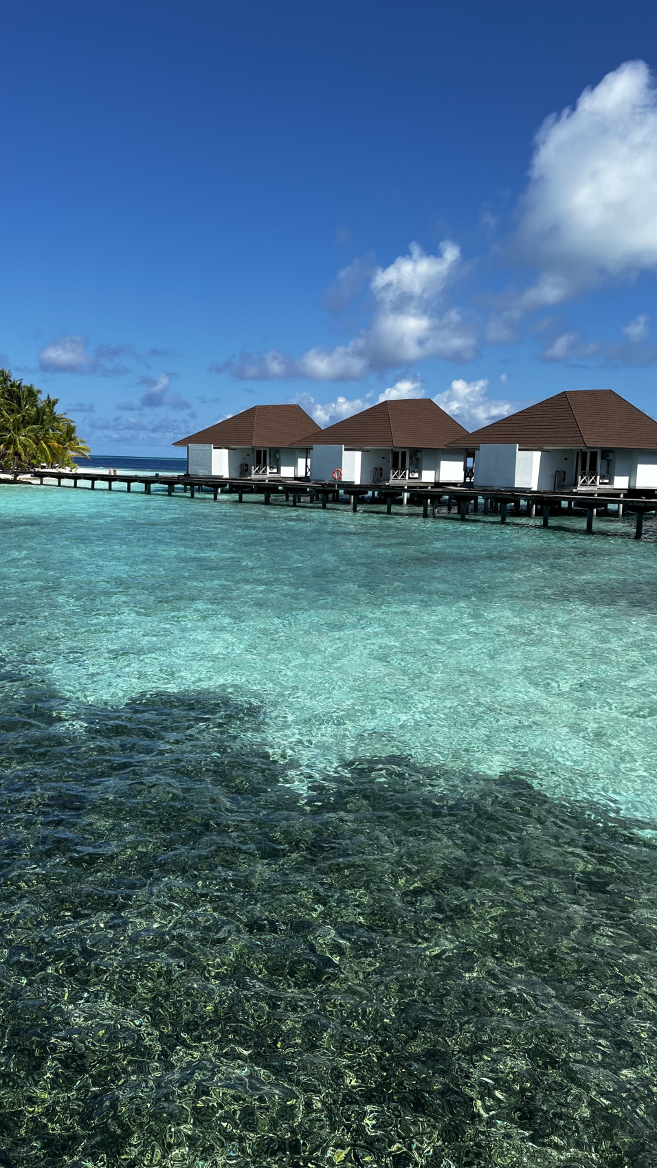 Йога-тур на Мальдивах (8/46)