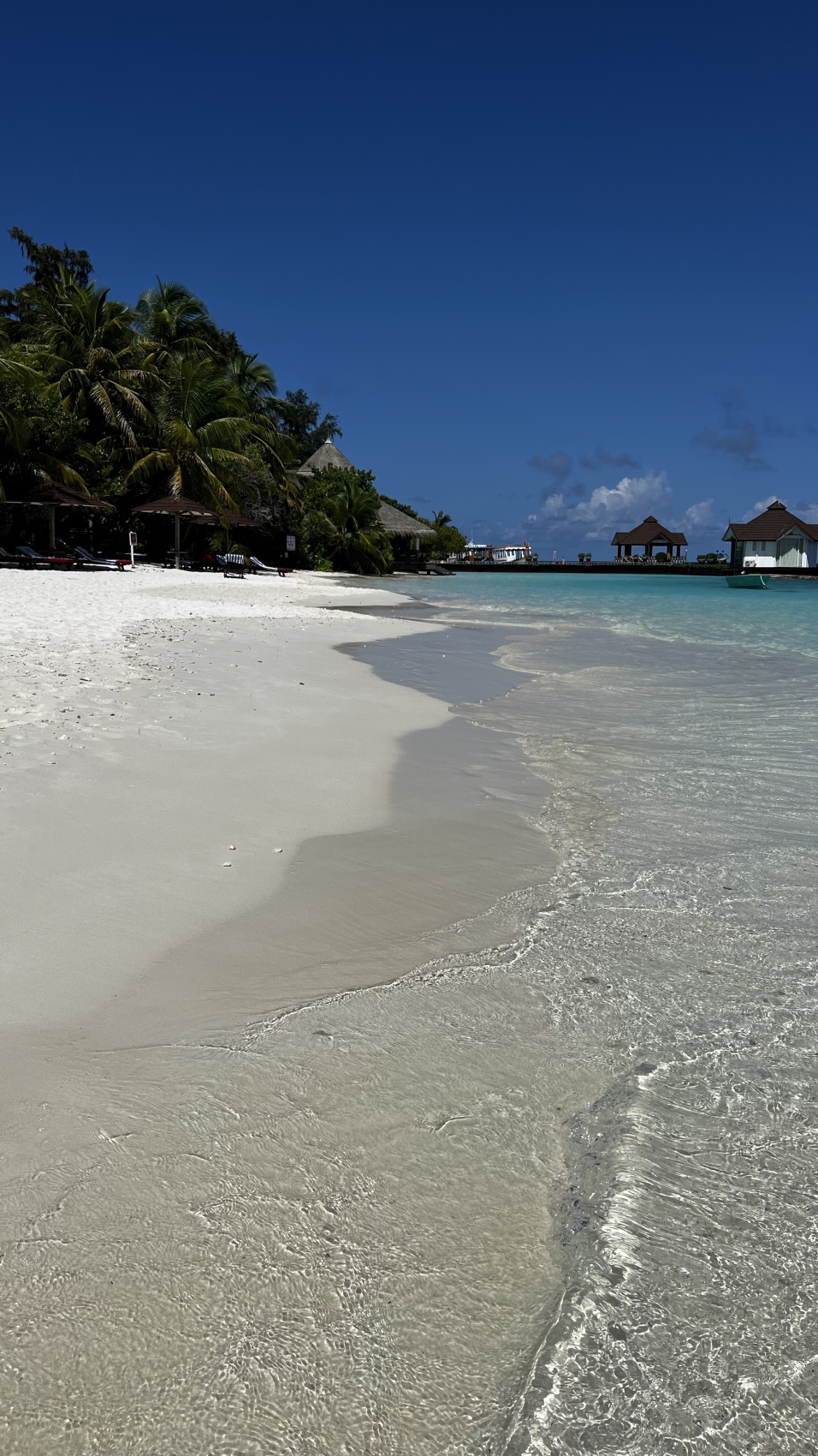 Йога-тур на Мальдивах (6/46)