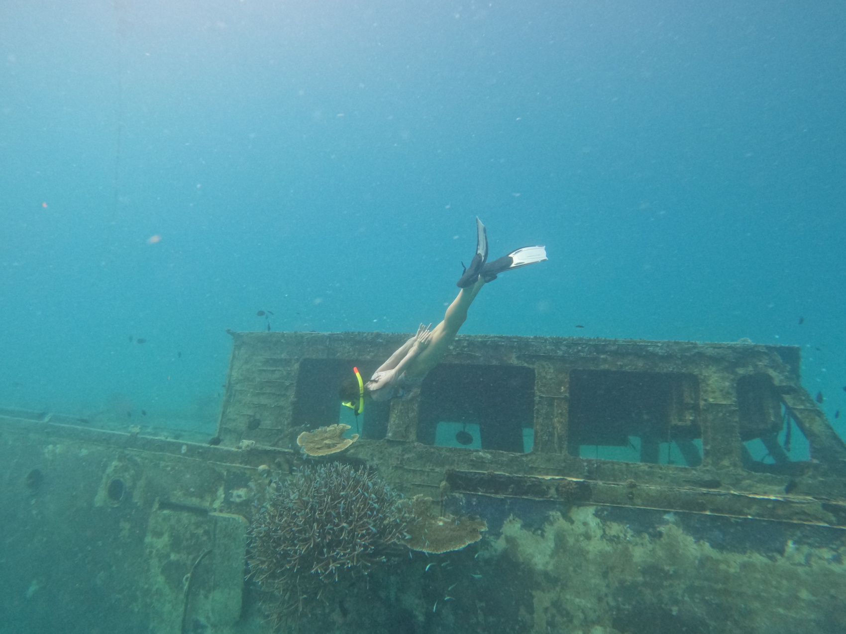 Йога-тур на Мальдивах (3/46)