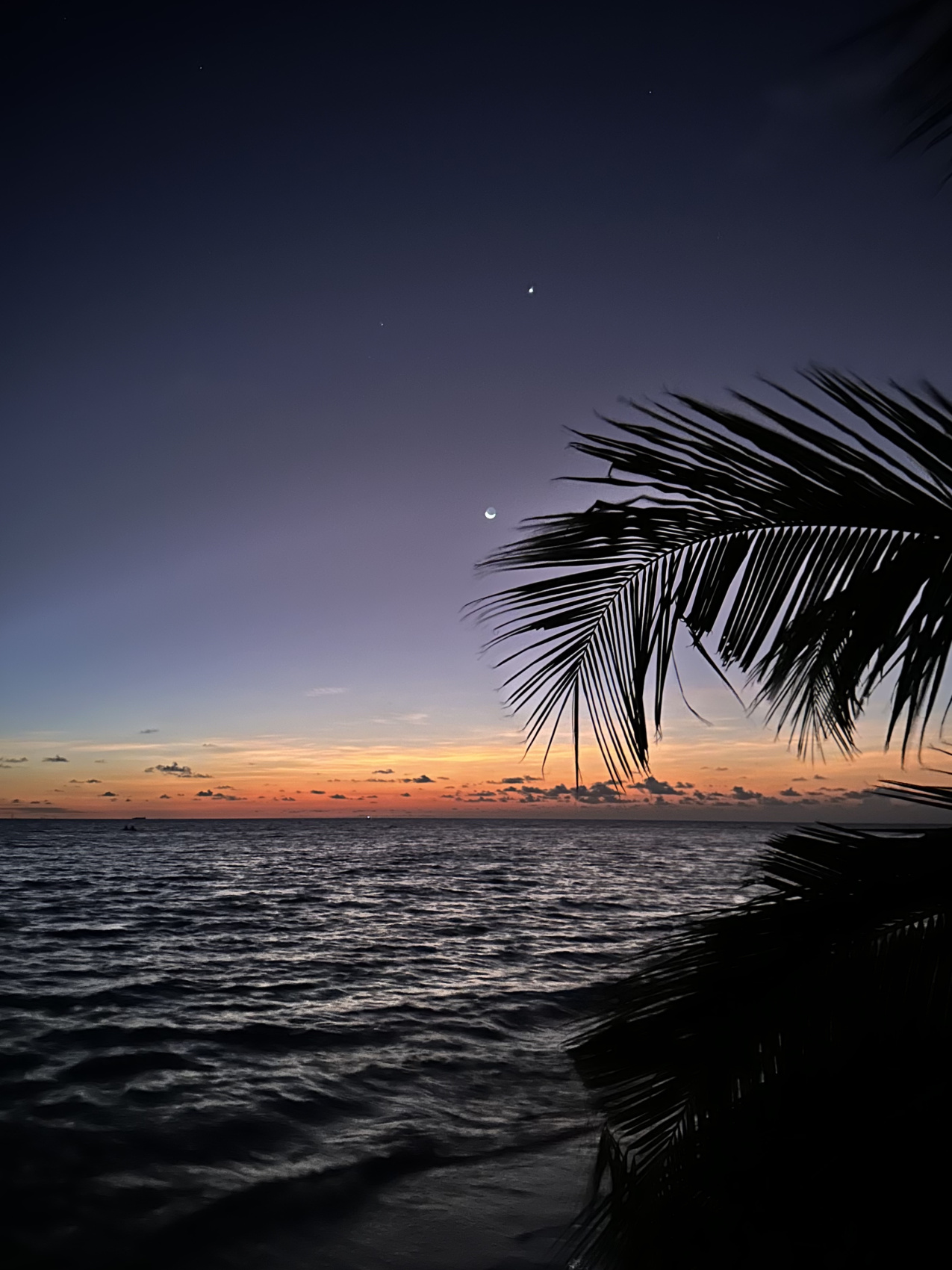 Йога-тур на Мальдивах (4/46)