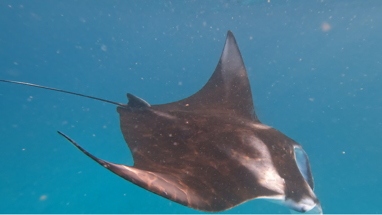 Йога-тур на Мальдивах (11/46)