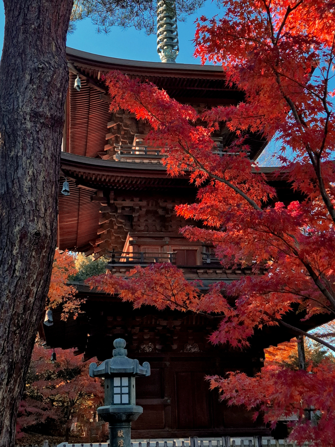 Япония в формате travel - девичника. 5 городов + виды на Фудзи (3/36)