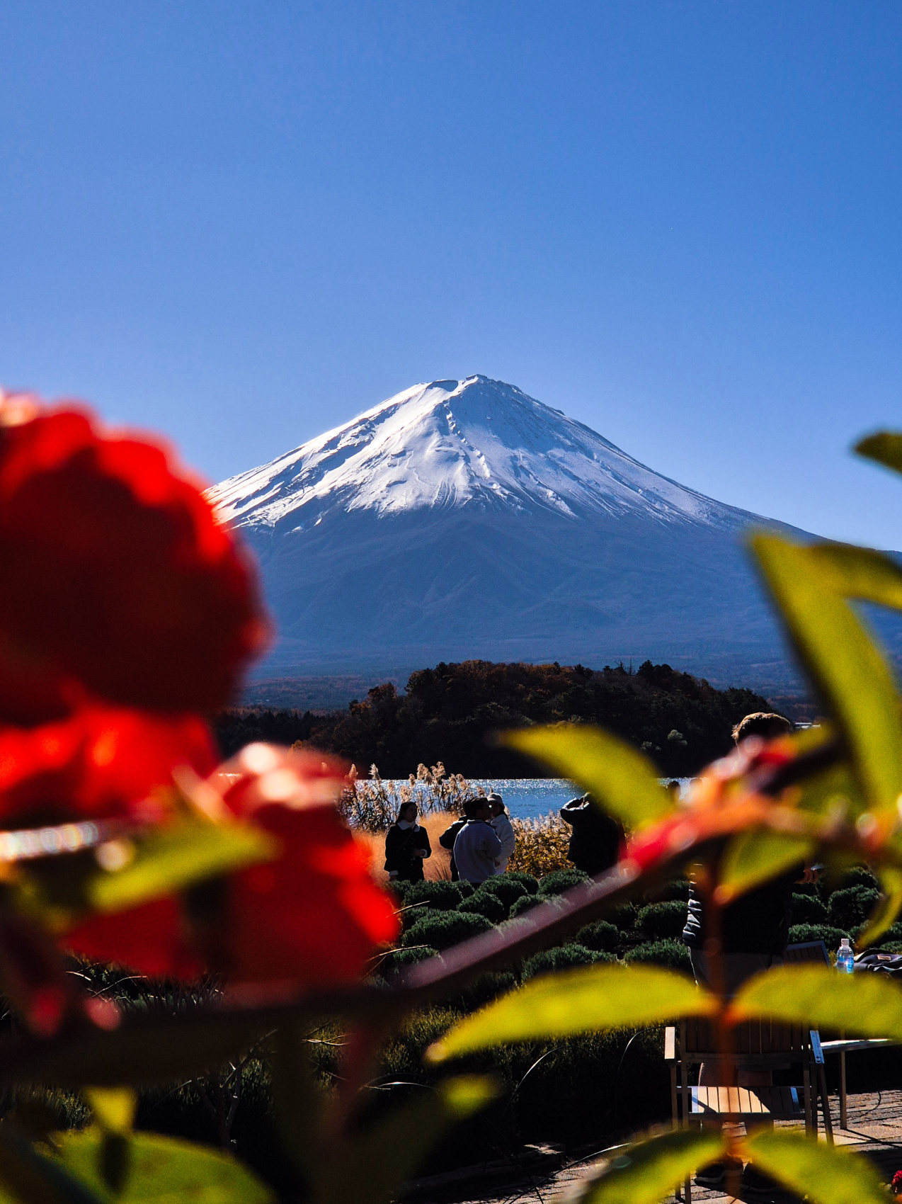 Япония в формате travel - девичника. 5 городов + виды на Фудзи (2/36)