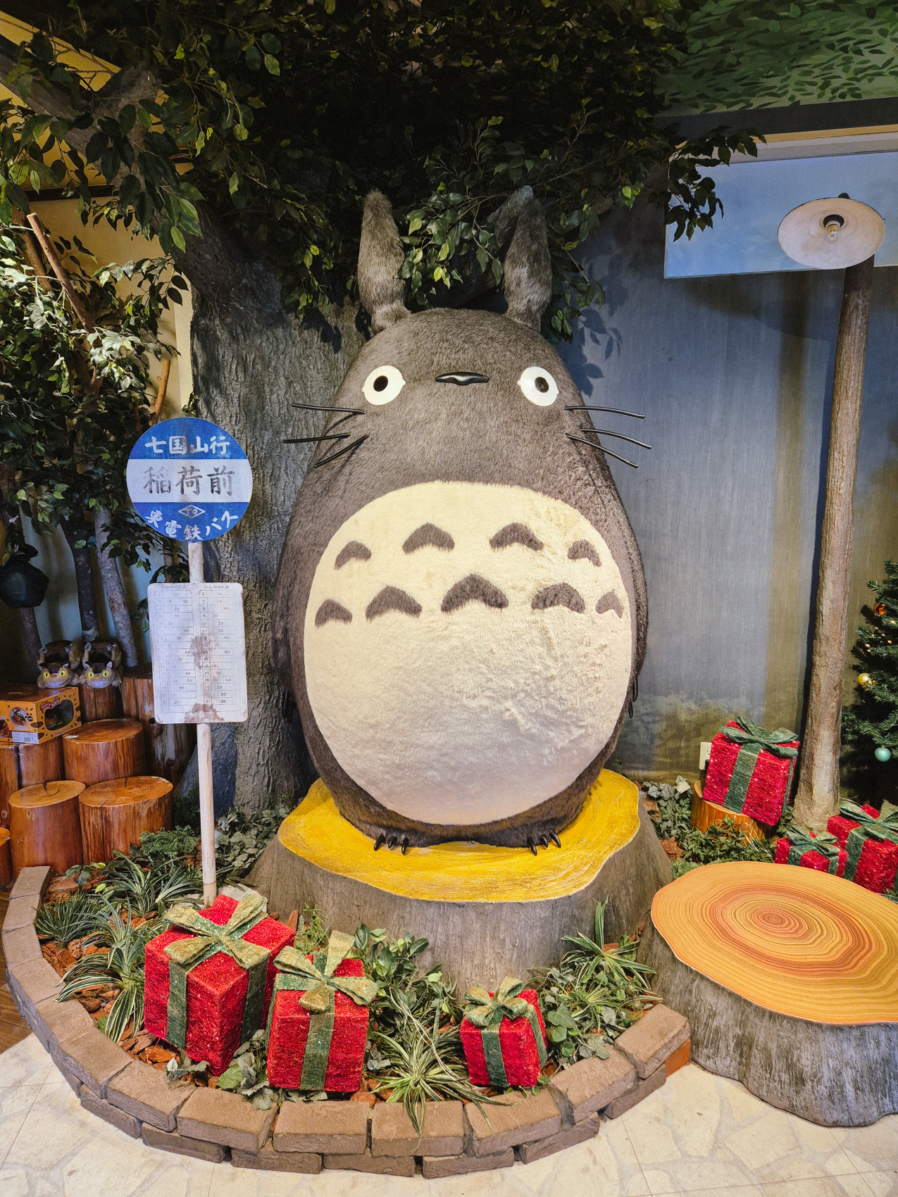 Япония в формате travel - девичника. 5 городов + виды на Фудзи (5/36)