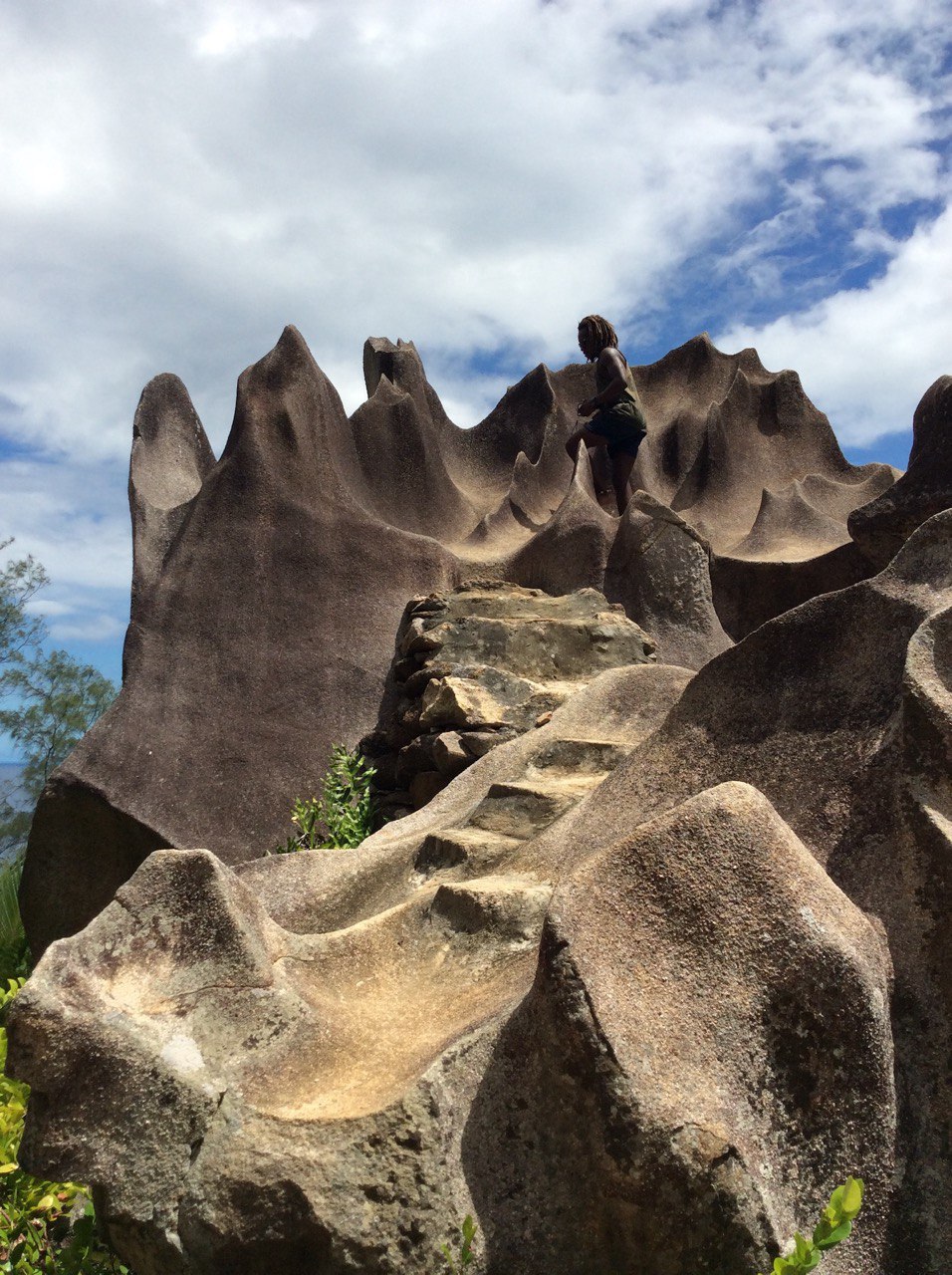 Сейшелы 8 дней. От лазурных берегов до зеленых холмов (14/47)