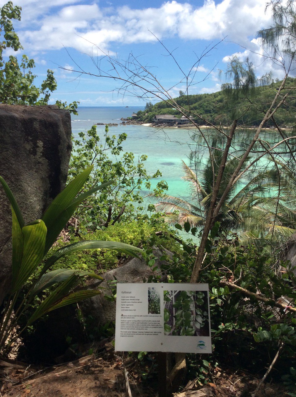 Сейшелы 8 дней. От лазурных берегов до зеленых холмов (21/47)