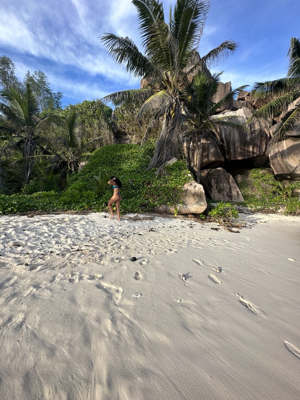 Сейшелы 8 дней. От лазурных берегов до зеленых холмов (9/47)