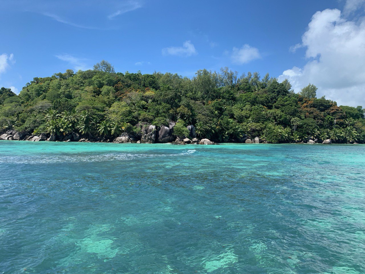 Сейшелы 8 дней. От лазурных берегов до зеленых холмов (17/47)