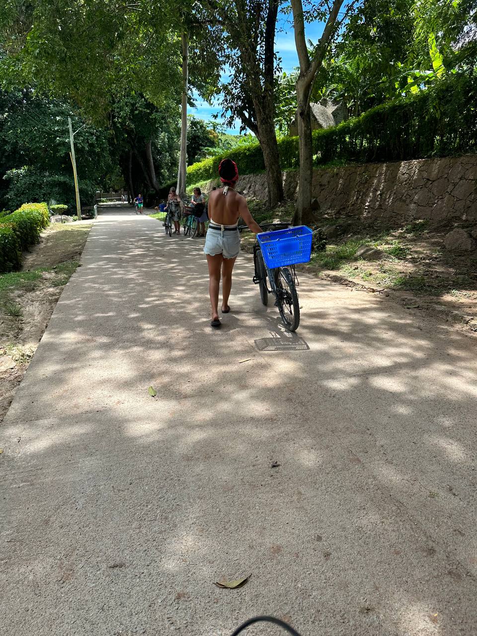 Сейшелы 8 дней. От лазурных берегов до зеленых холмов (4/47)