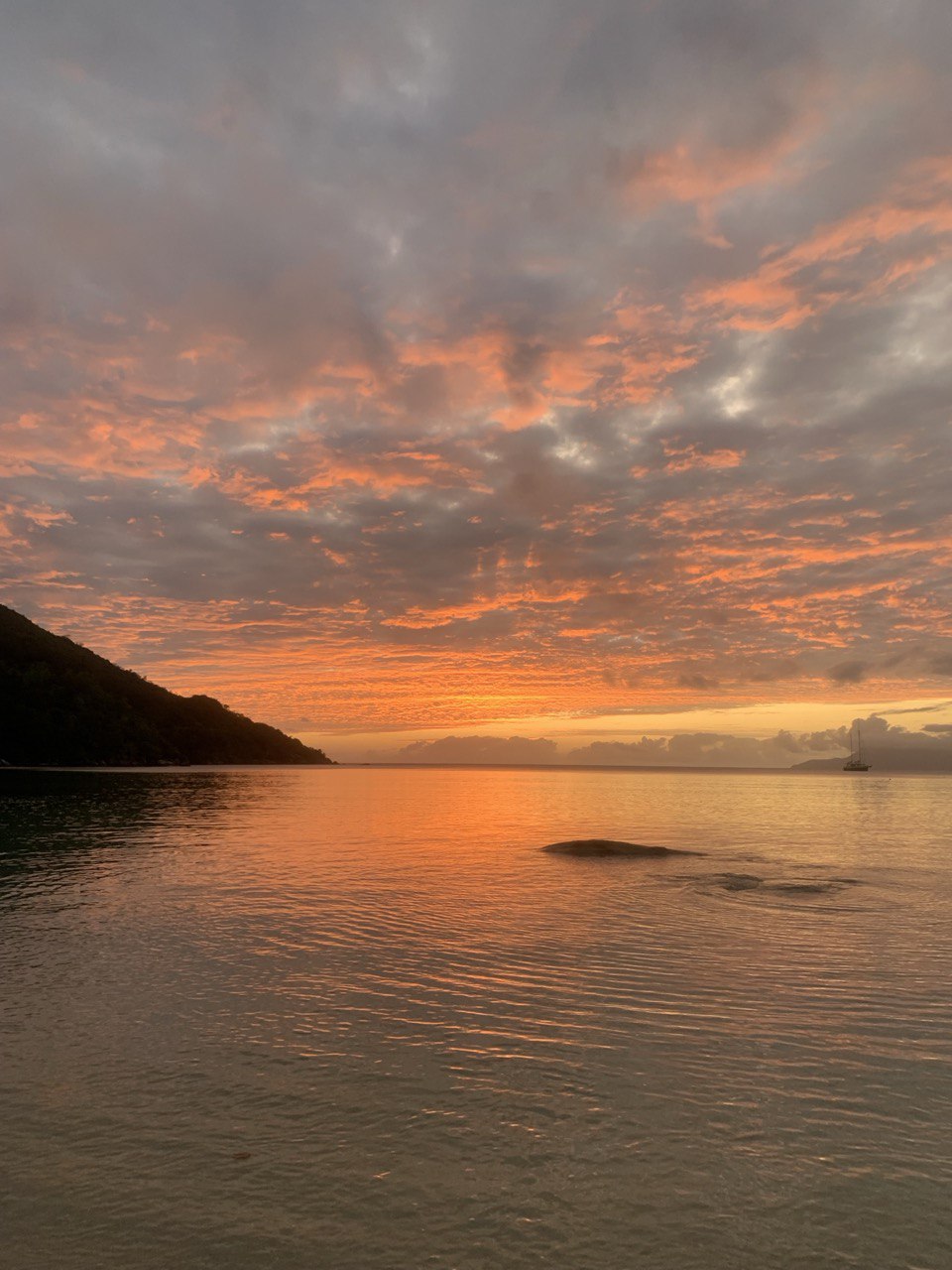 Сейшелы 8 дней. От лазурных берегов до зеленых холмов (5/47)