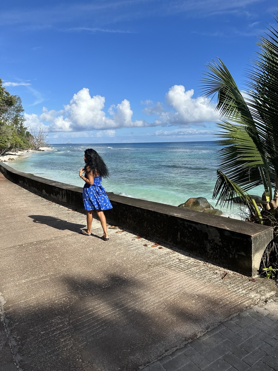 Сейшелы 8 дней. От лазурных берегов до зеленых холмов (16/47)