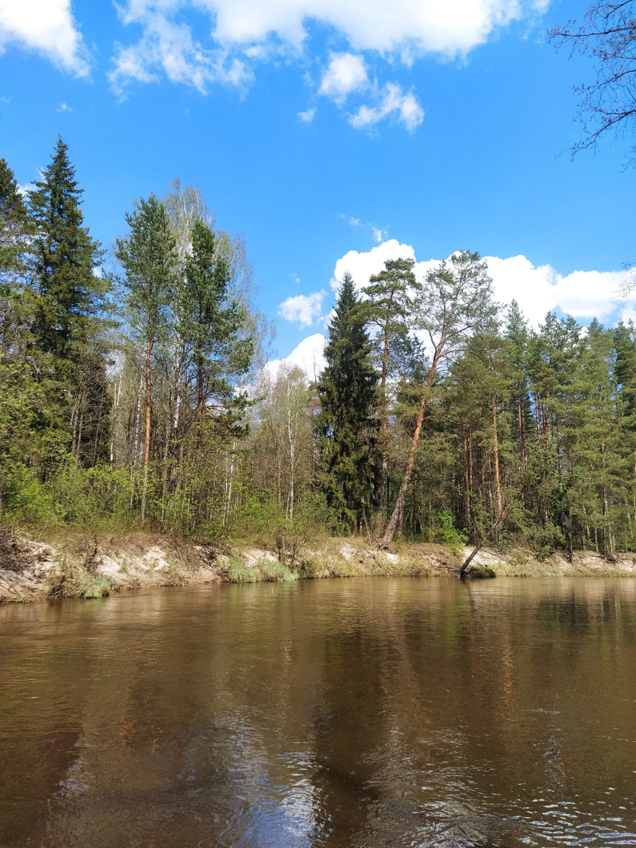 Сплав Победный на катамаранах по реке Юшут (7/11)