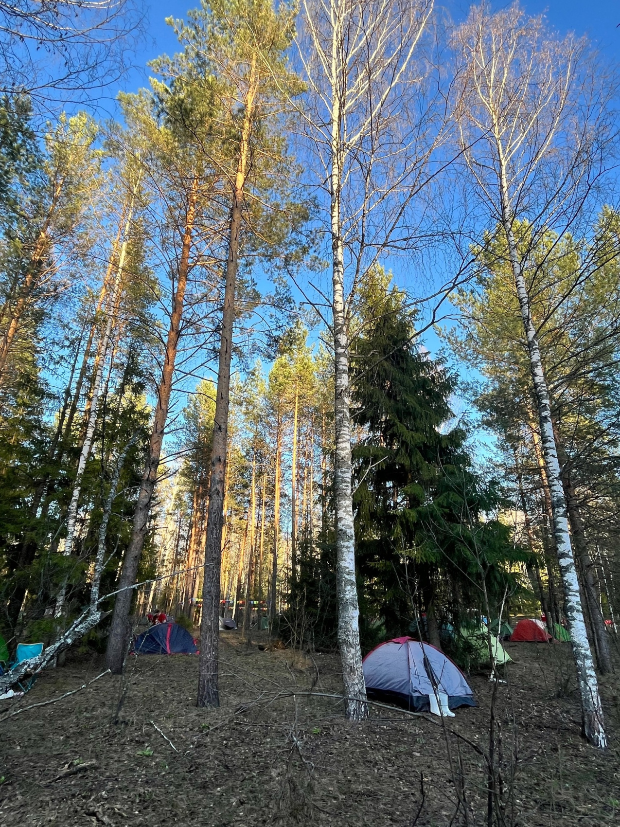 Сплав Музыкальный по реке Юшут (7/9)